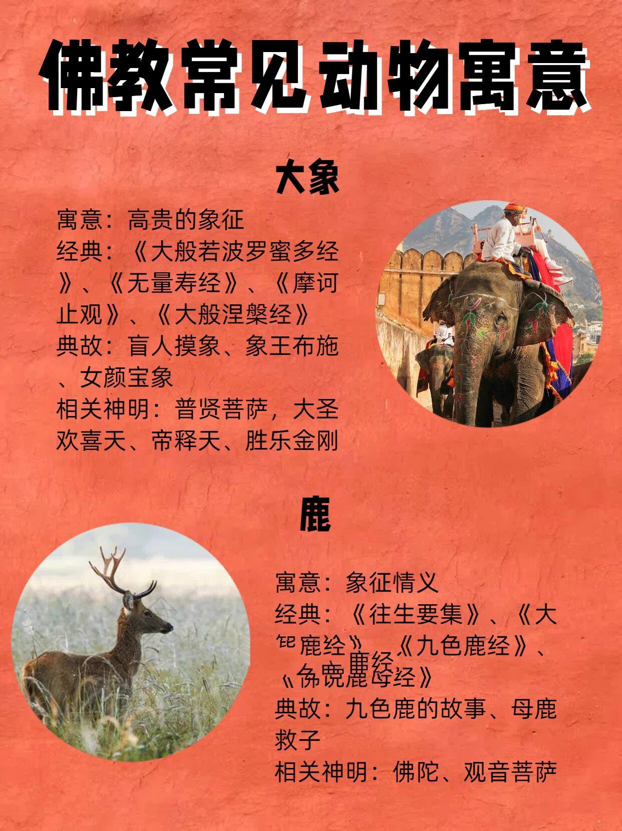 36种动物的象征