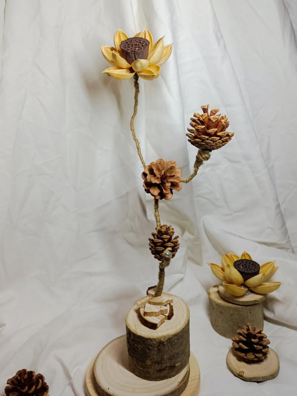 diy松塔小摆件,发现自然的美 周末出去玩森林9898公园里掉下来的