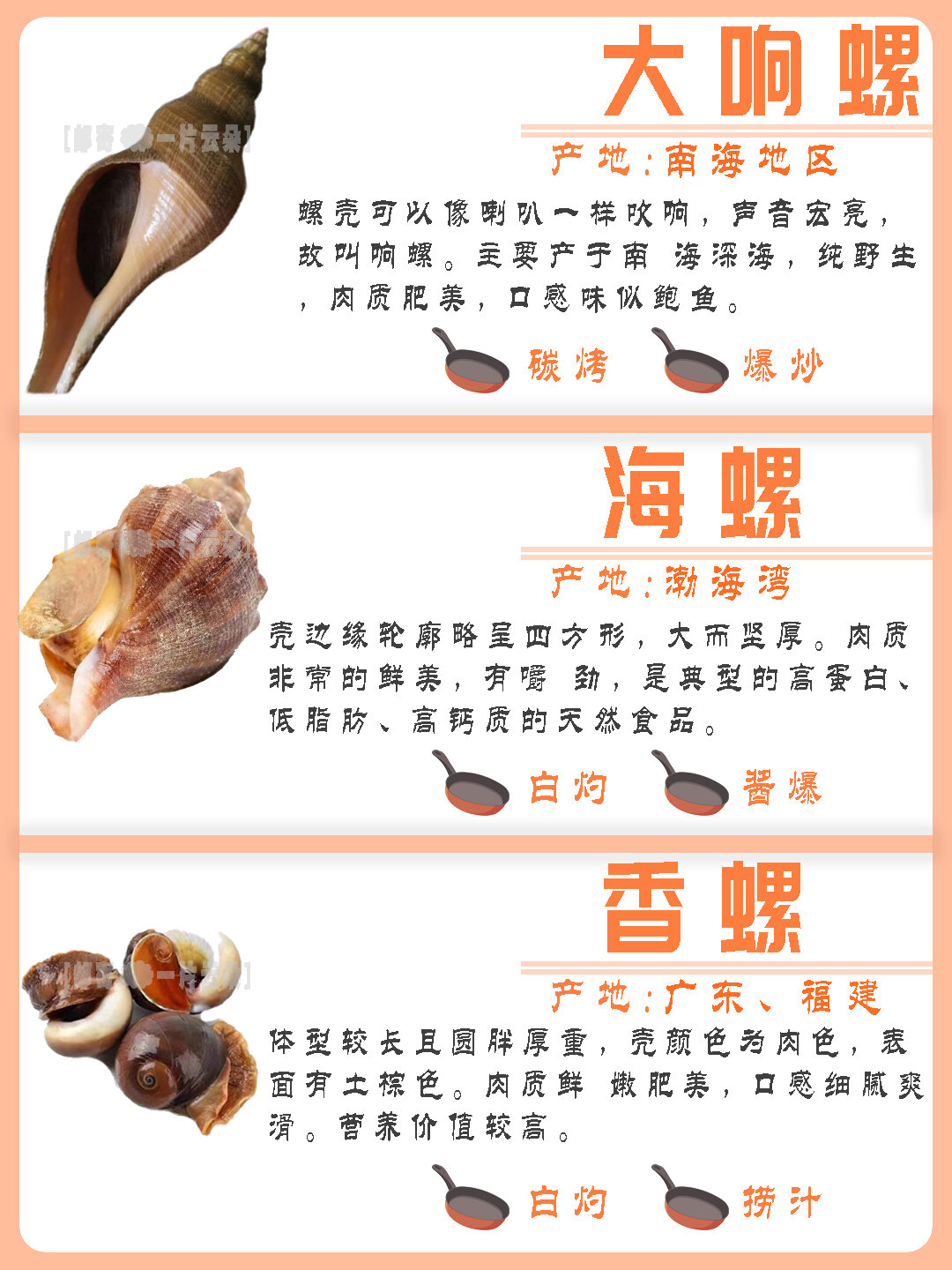 常见螺类百科|特点|区别|食用方法|产地 来到沿海城市