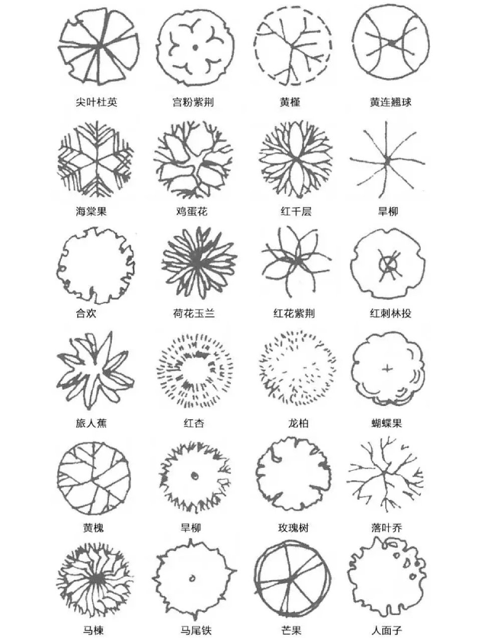 分享 | 一组园林手绘中的植物平面图素材!