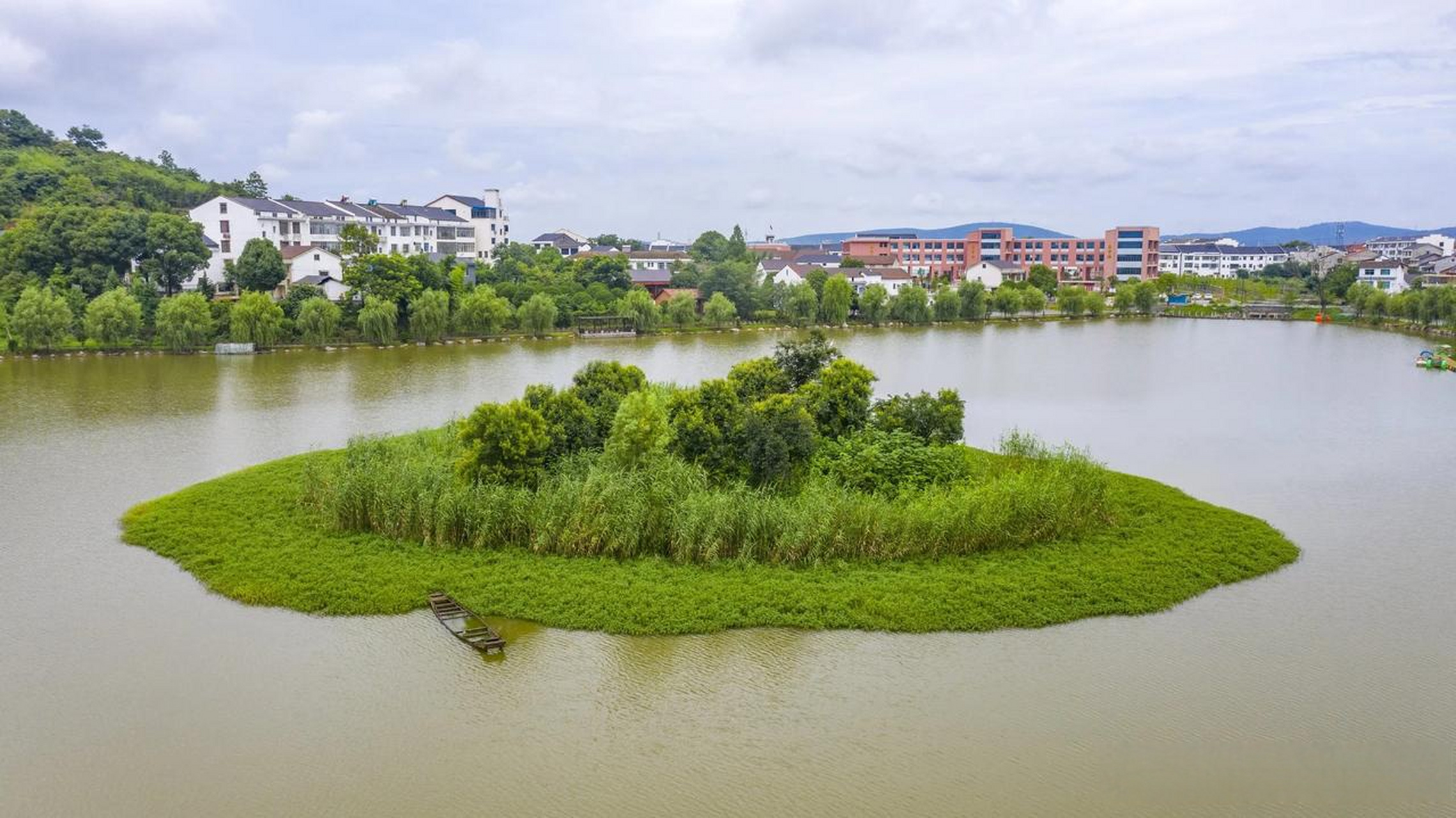津市市的肖家湖生态文化公园,也是绝美的小众打卡地,走进公园,满眼都