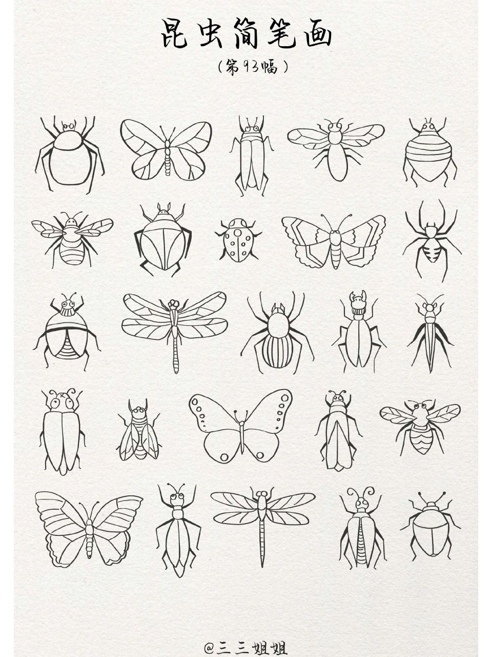 昆虫标本简笔画图片