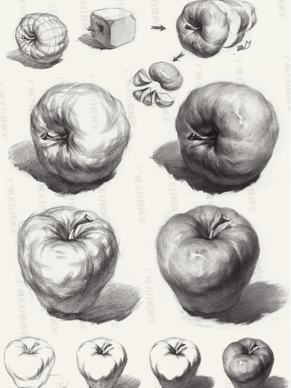 素描苹果的画法,必须要会的!