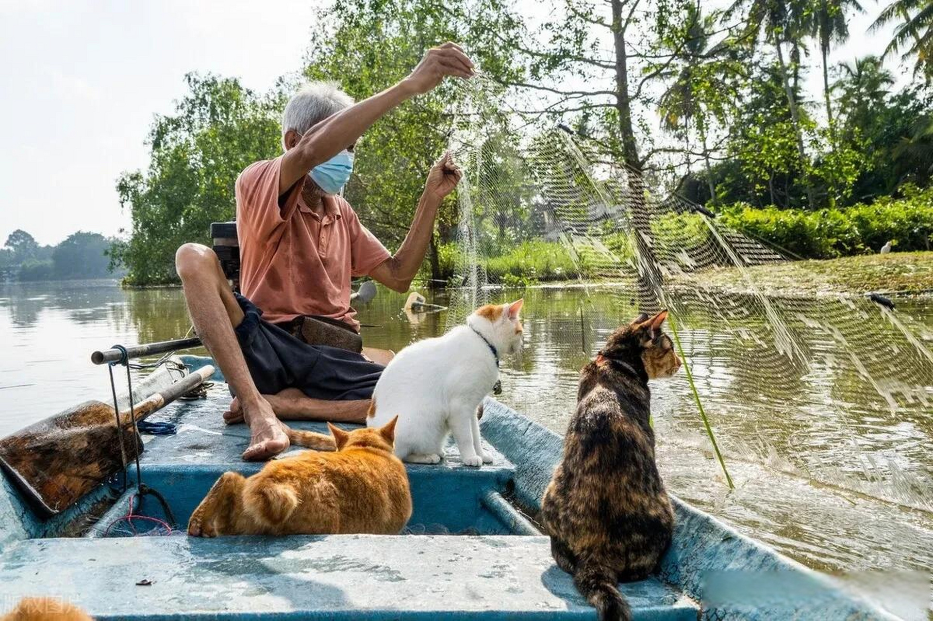 实拍泰国素叻他尼老渔民 他彼河上捕鱼喂猫