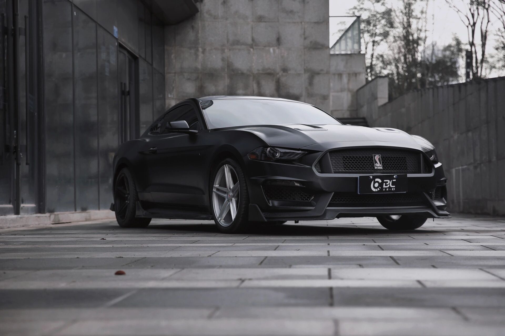 野马 蝰蛇 黑武士 陶瓷黑