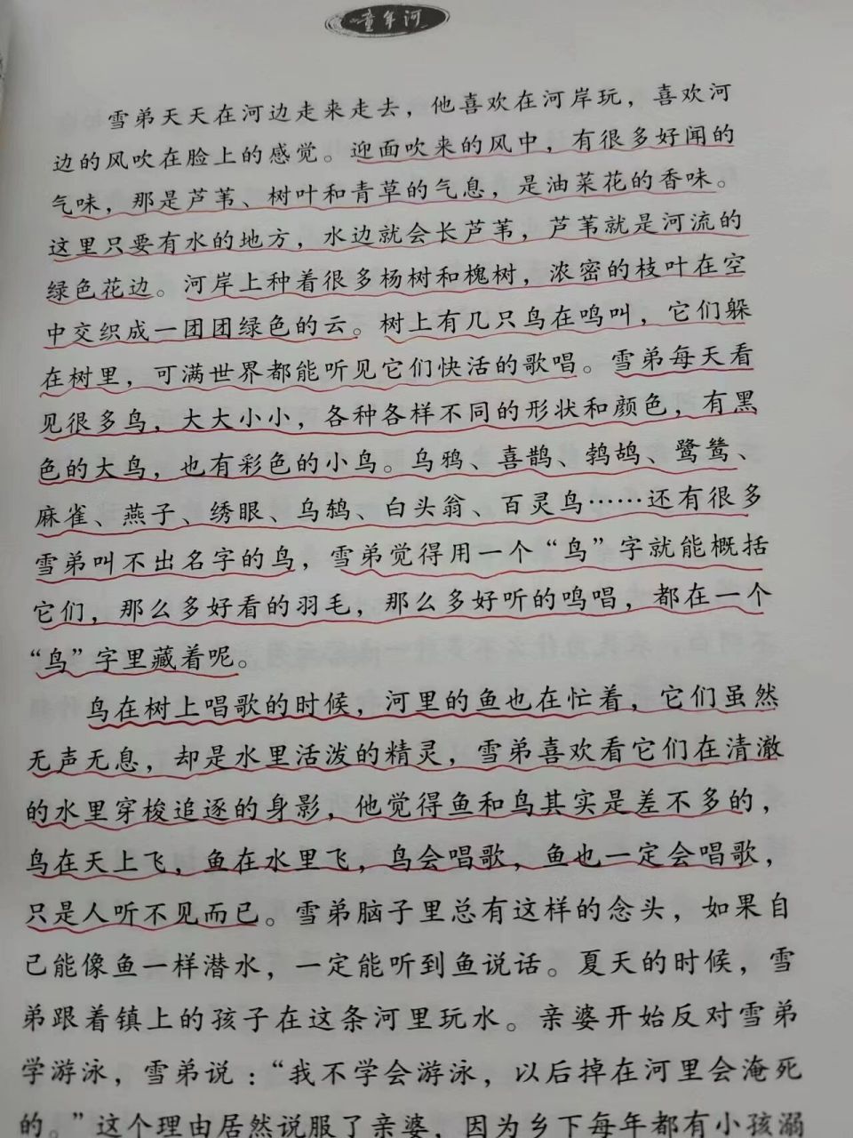 童年河作者简介图片