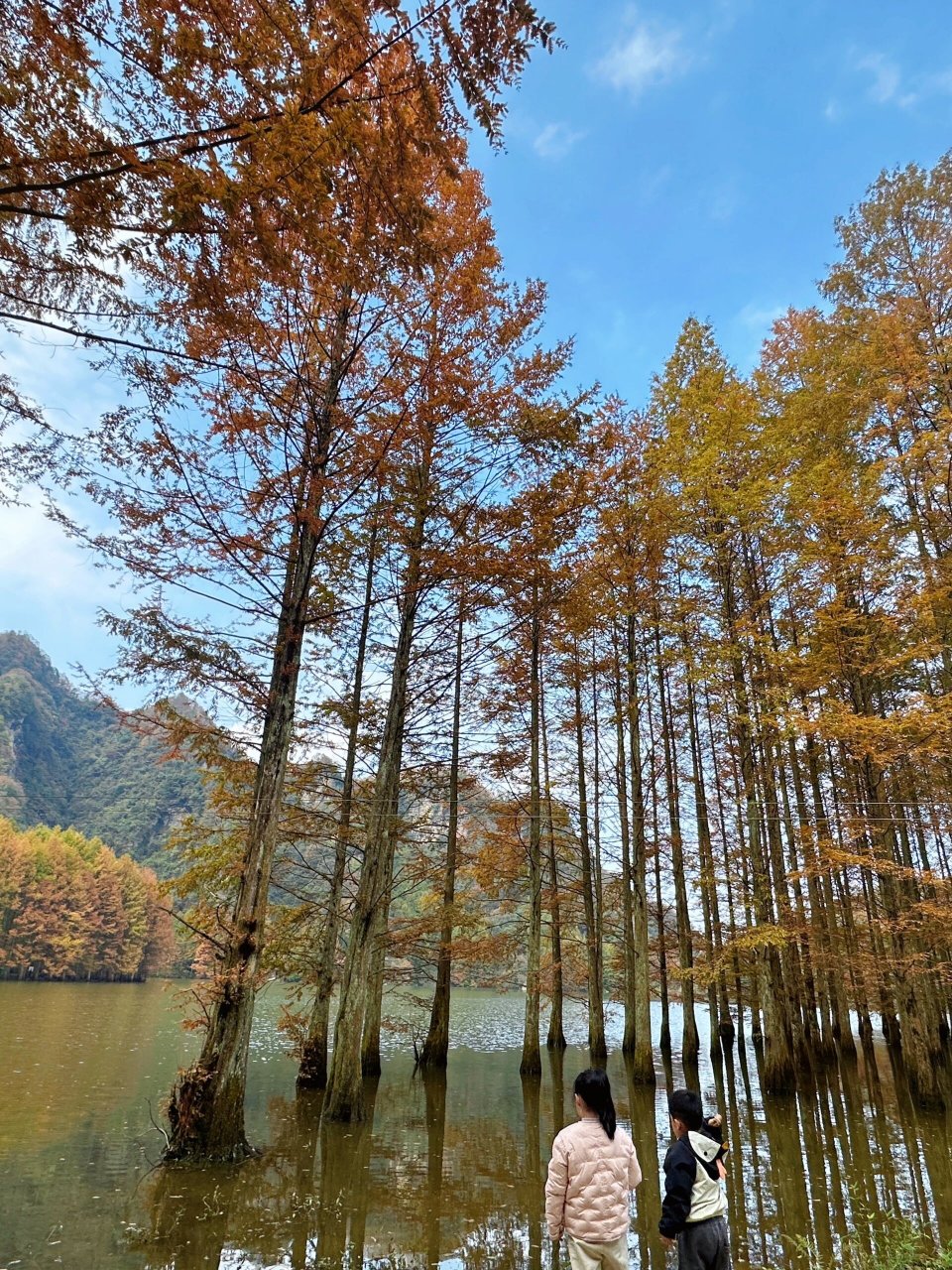 汉中龙池湖 一年四季各有各的美.