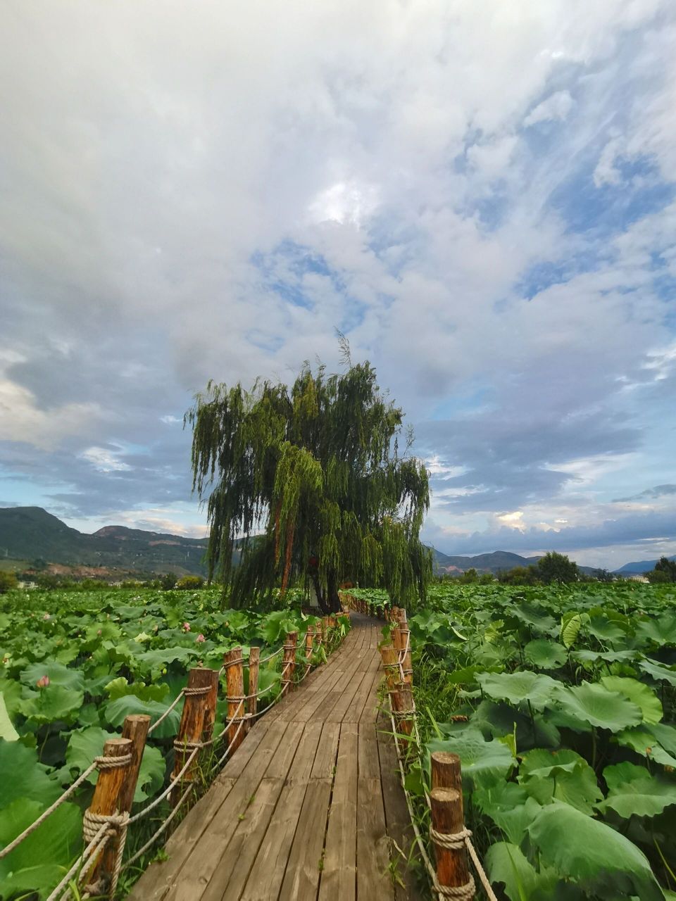 丽江旅游小众景点 | 三川翠湖    91三川翠湖位于丽江市永胜县三川