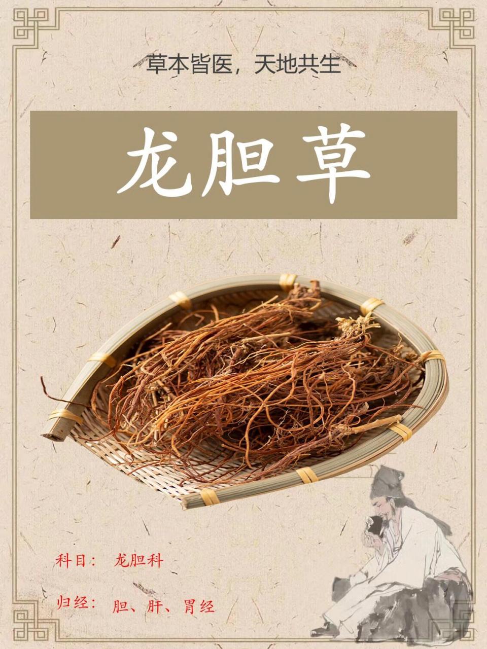 91"降火神器"——龙胆草 16615降火神奇 龙胆草显著的降火功效