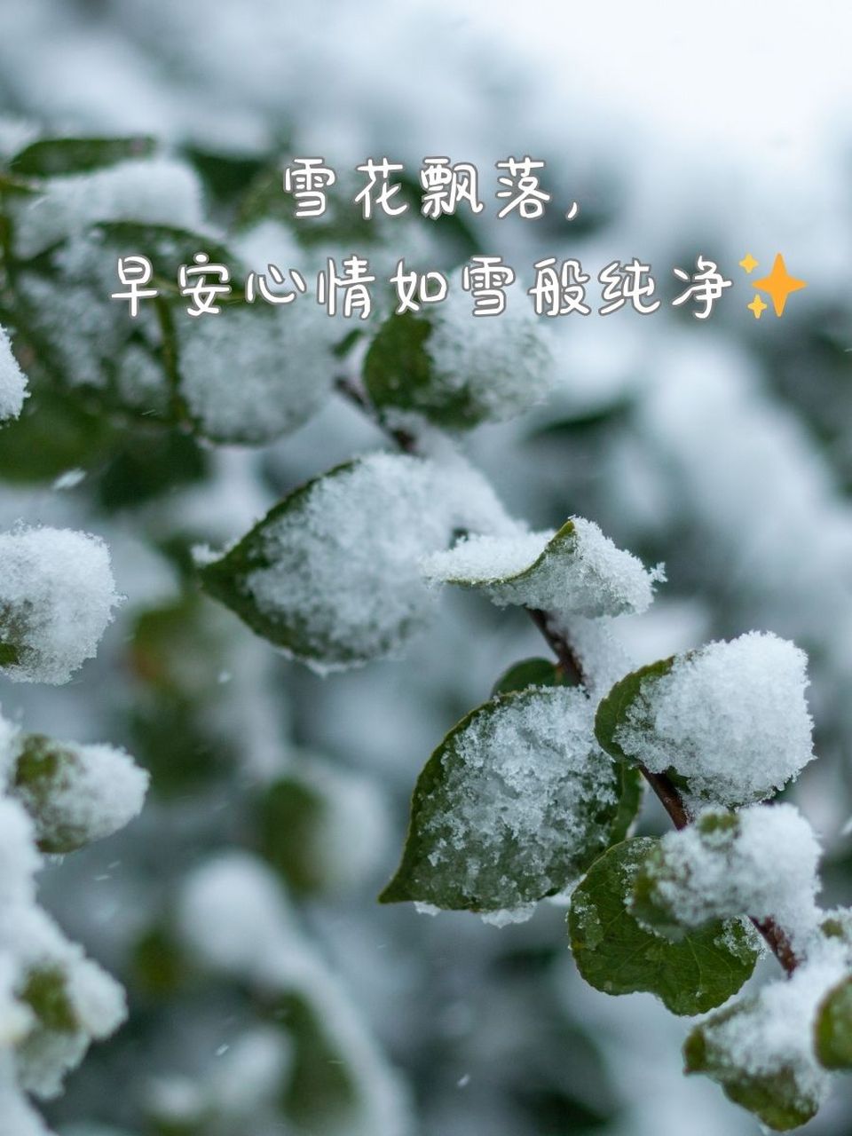 早安2021最新图片雪景图片