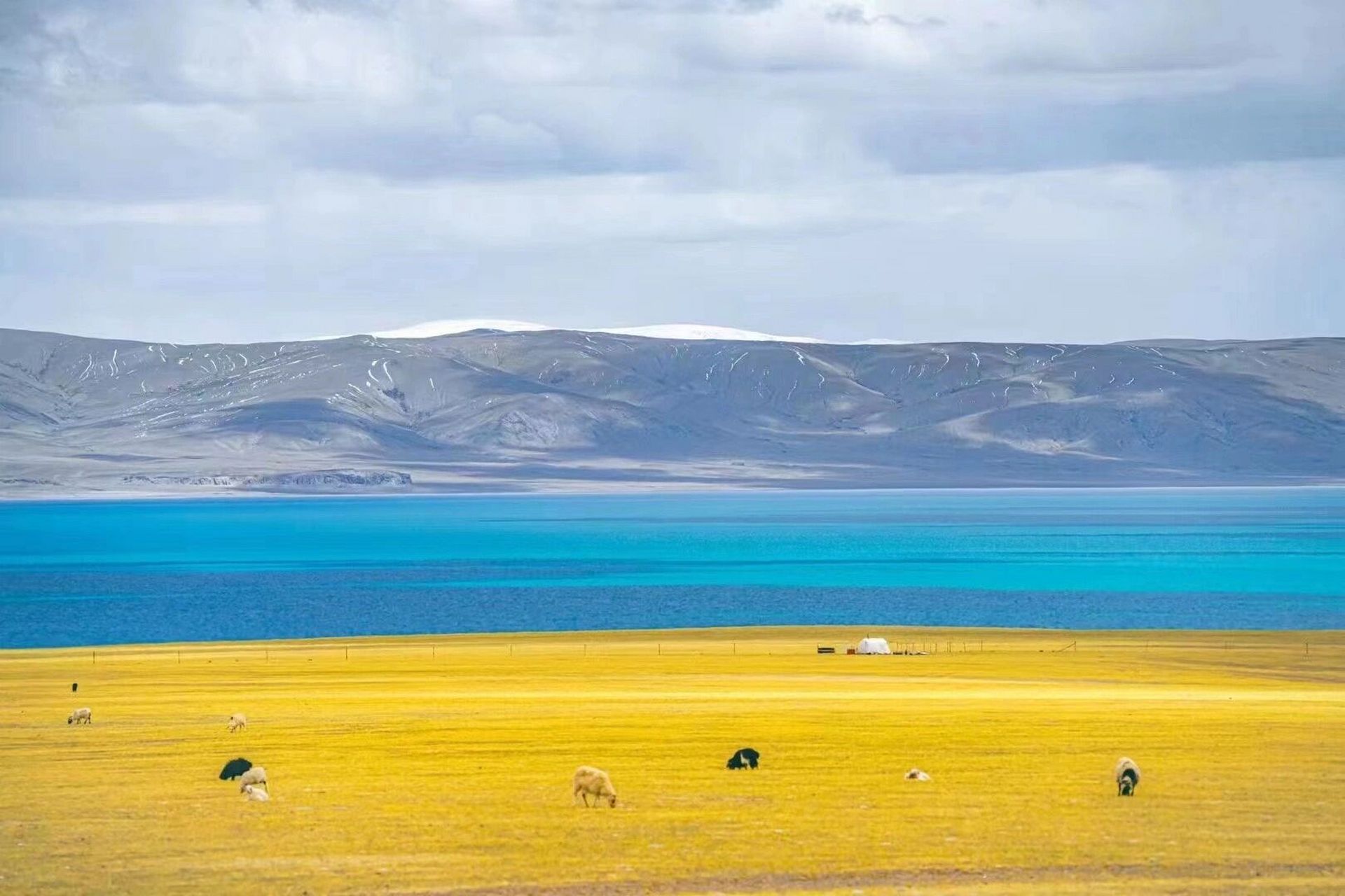 朋友圈风景文案77背景图 1.慢品人间烟火色,闲观万事岁月长 2.