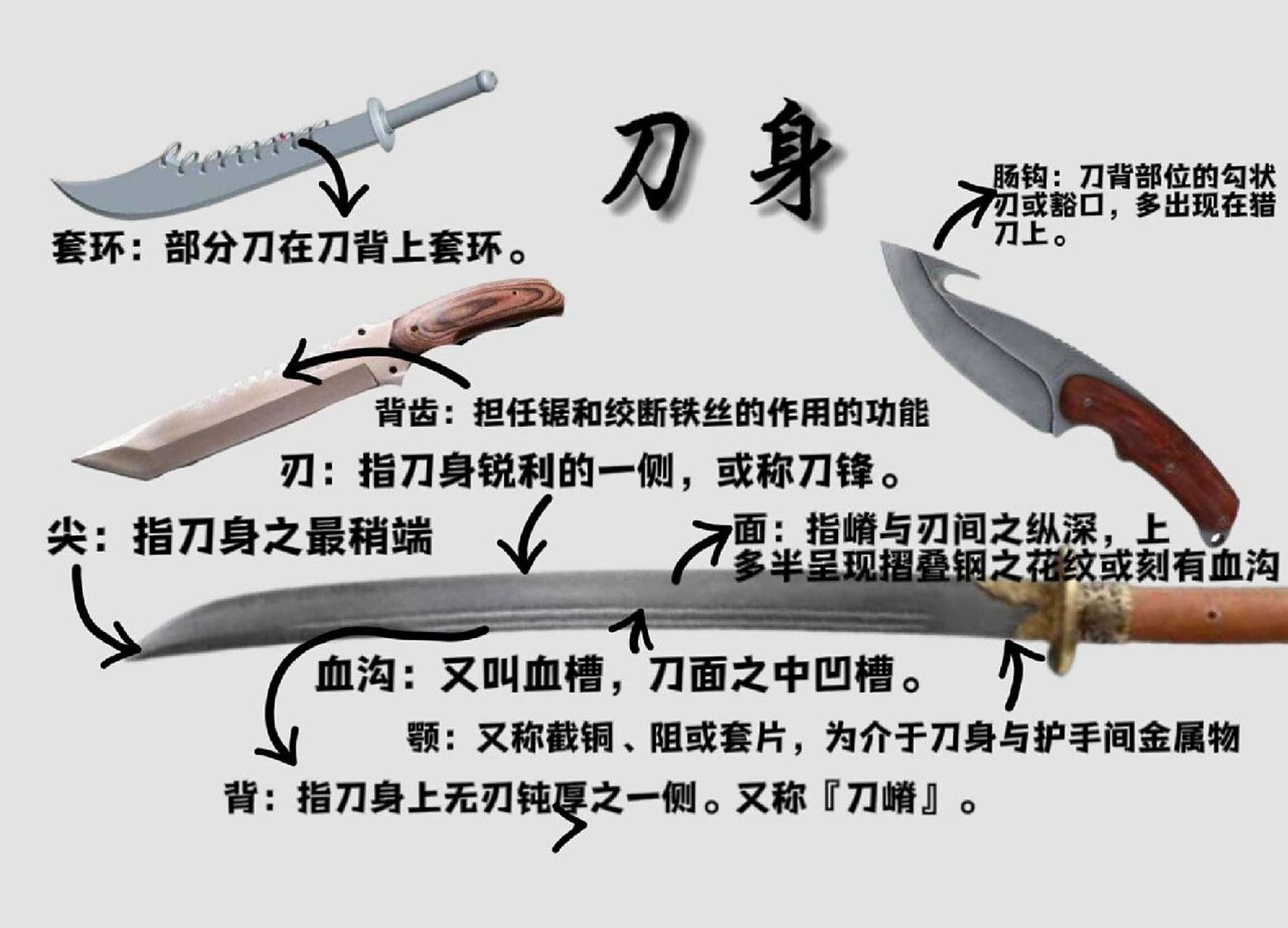 你知道刀的各部位构造名称吗|刀的构造 刀的类型比剑多,这里以常见刀