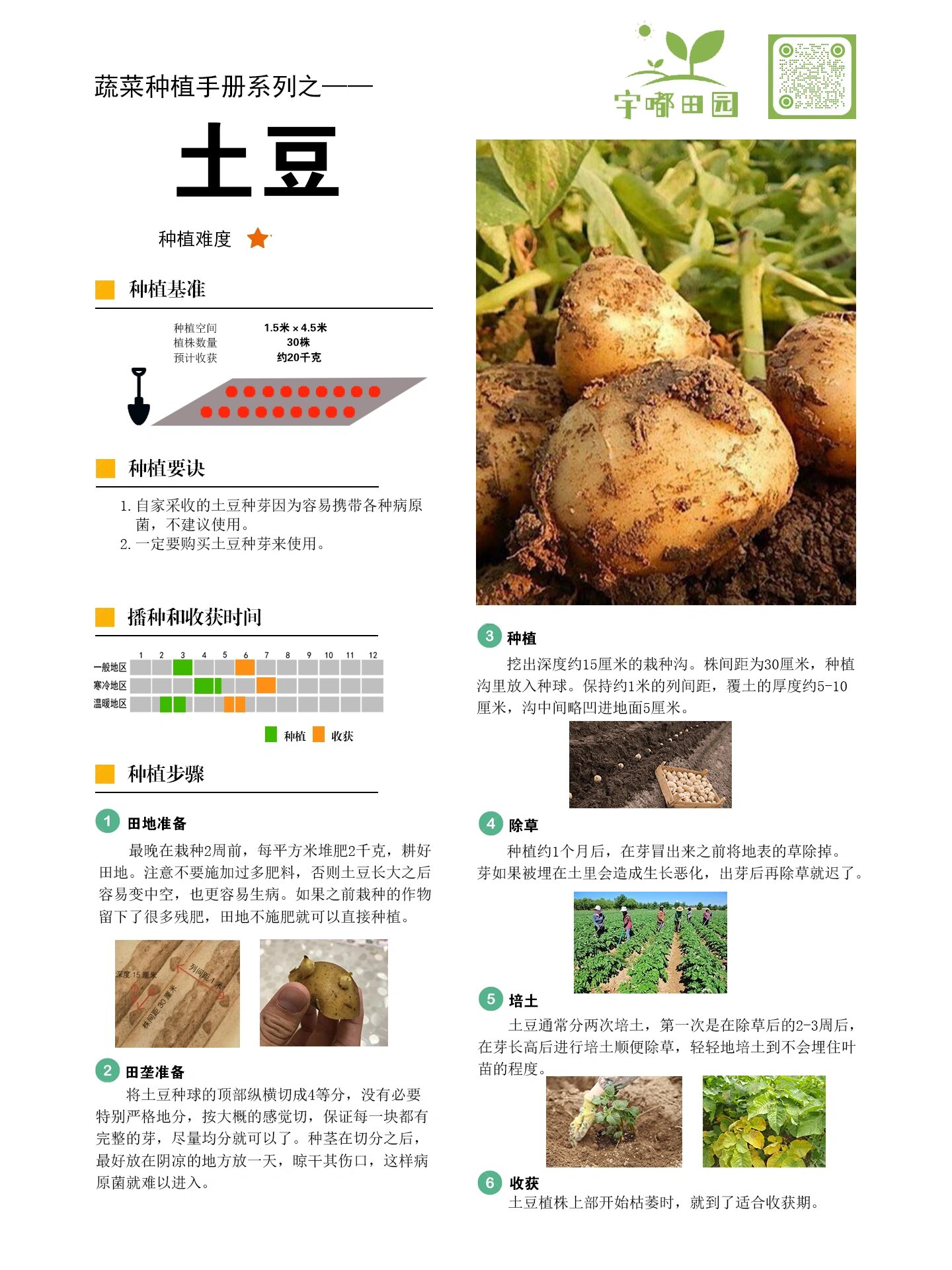土豆种植方法和时间