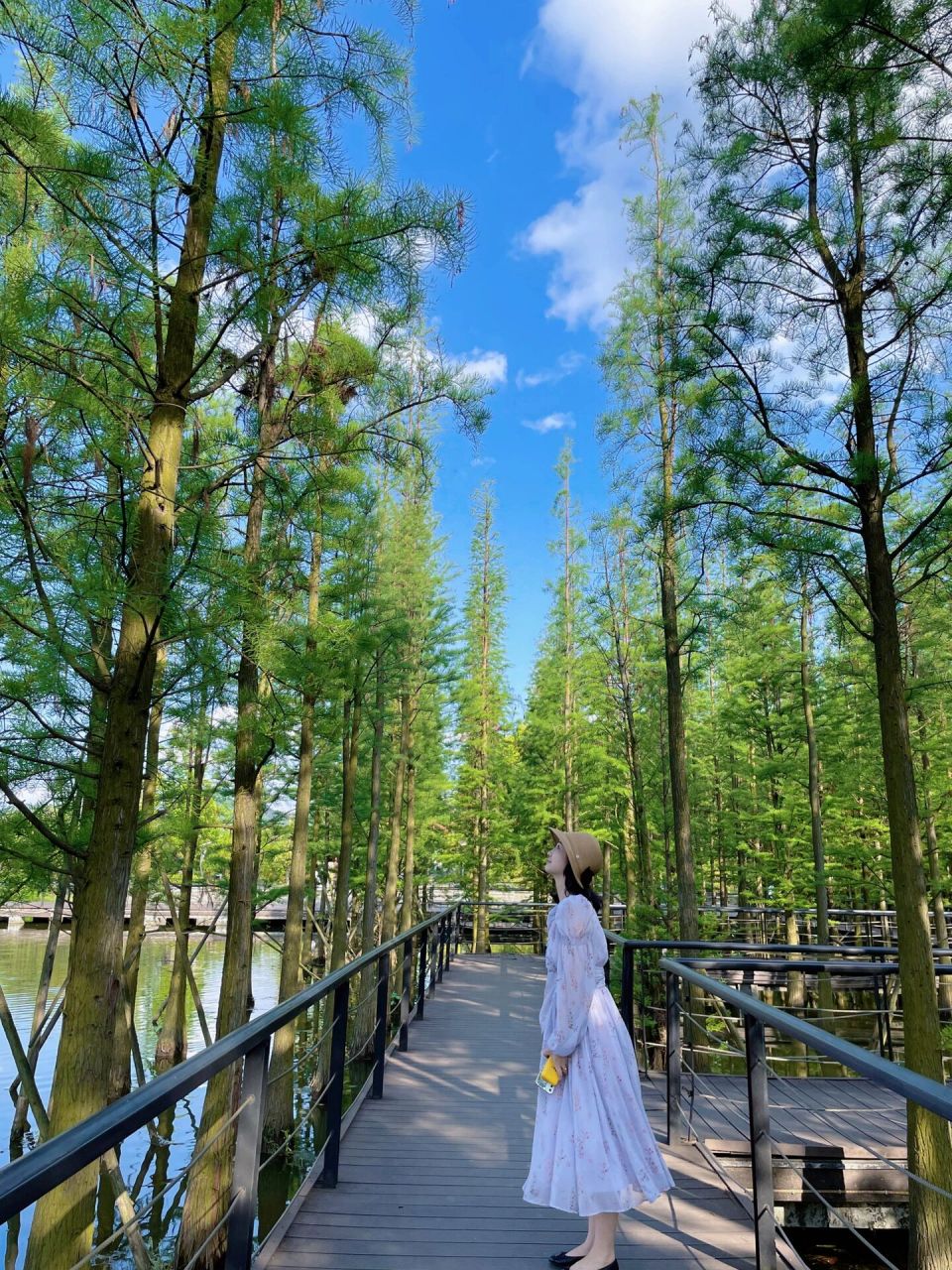 贵州|遵义 值得一去的播雅湿地公园99 随手拍出大片的地方,怎么拍都