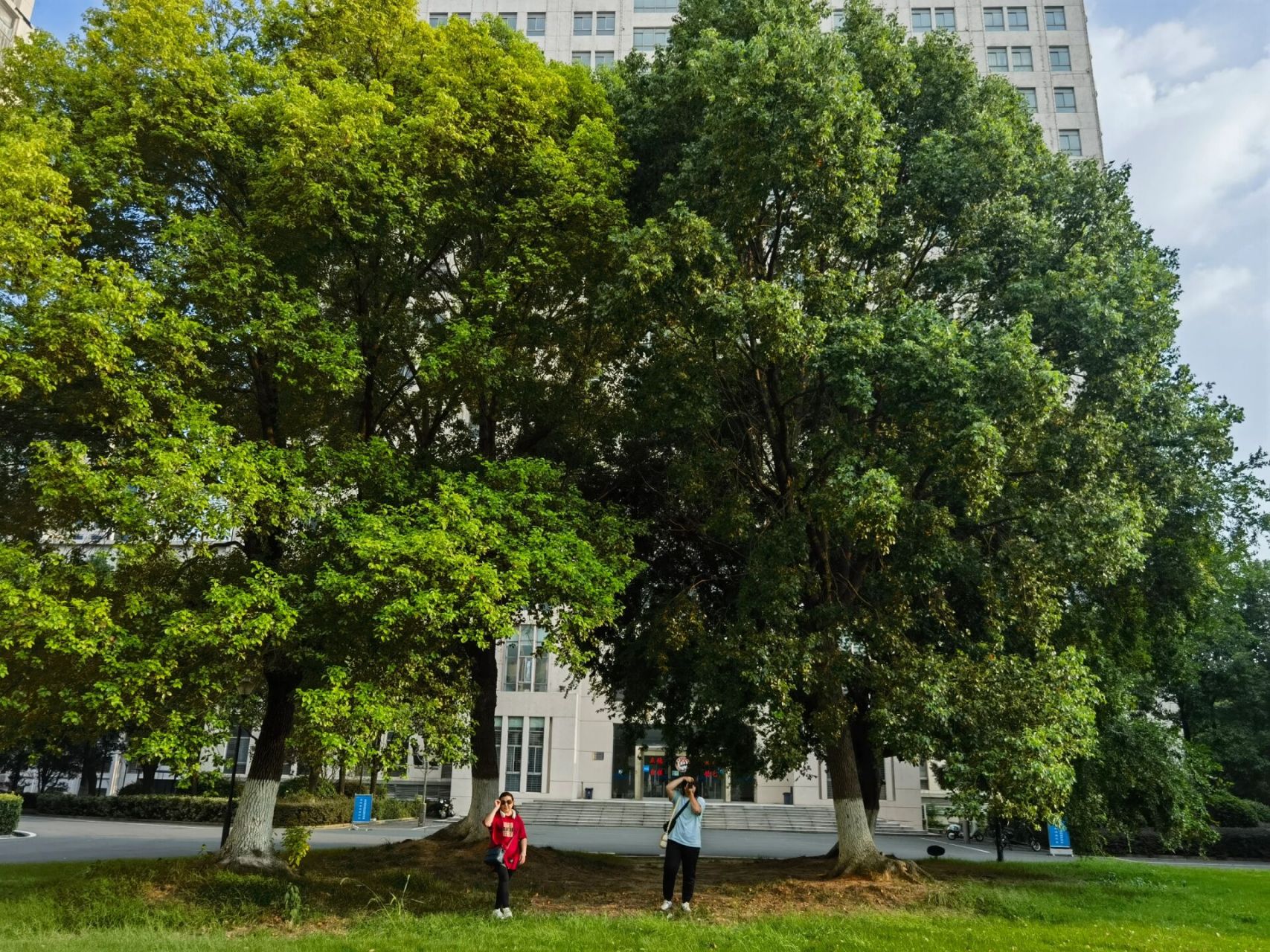 武汉音乐学院  我回来啦70 目之所及 皆是青春回忆 时隔四年 恍如