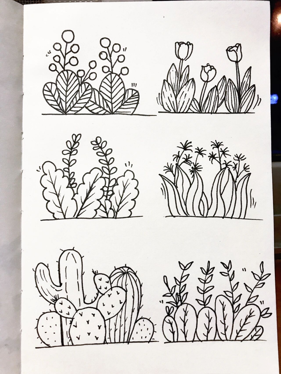 画画202|简笔画|植物篇——小草 简单易画的小草 适合新手临摹 容易上