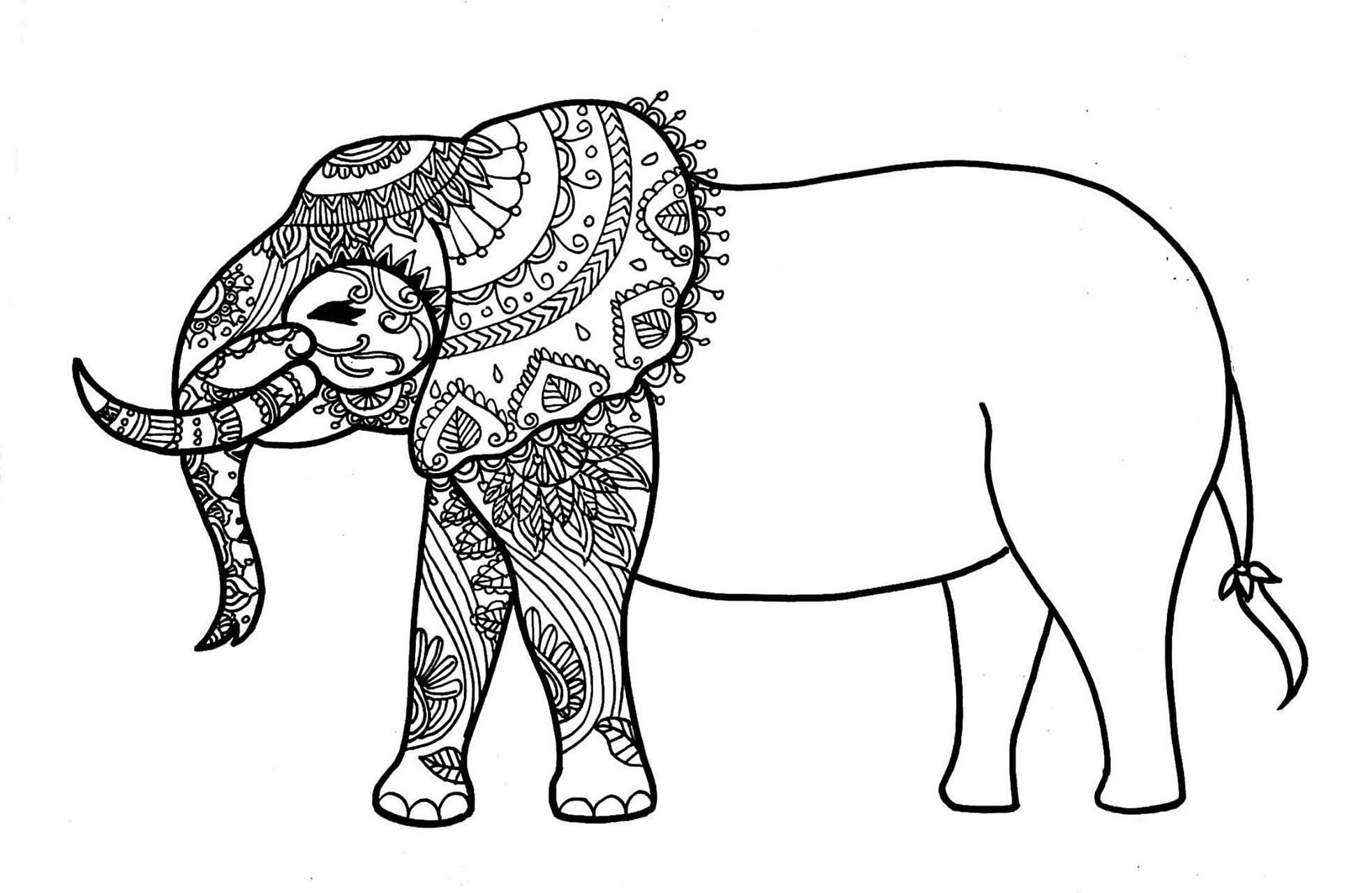 有详细步骤哦 往里面滑 #绘画# #黑白装饰画# #线描# #装饰画# #大象