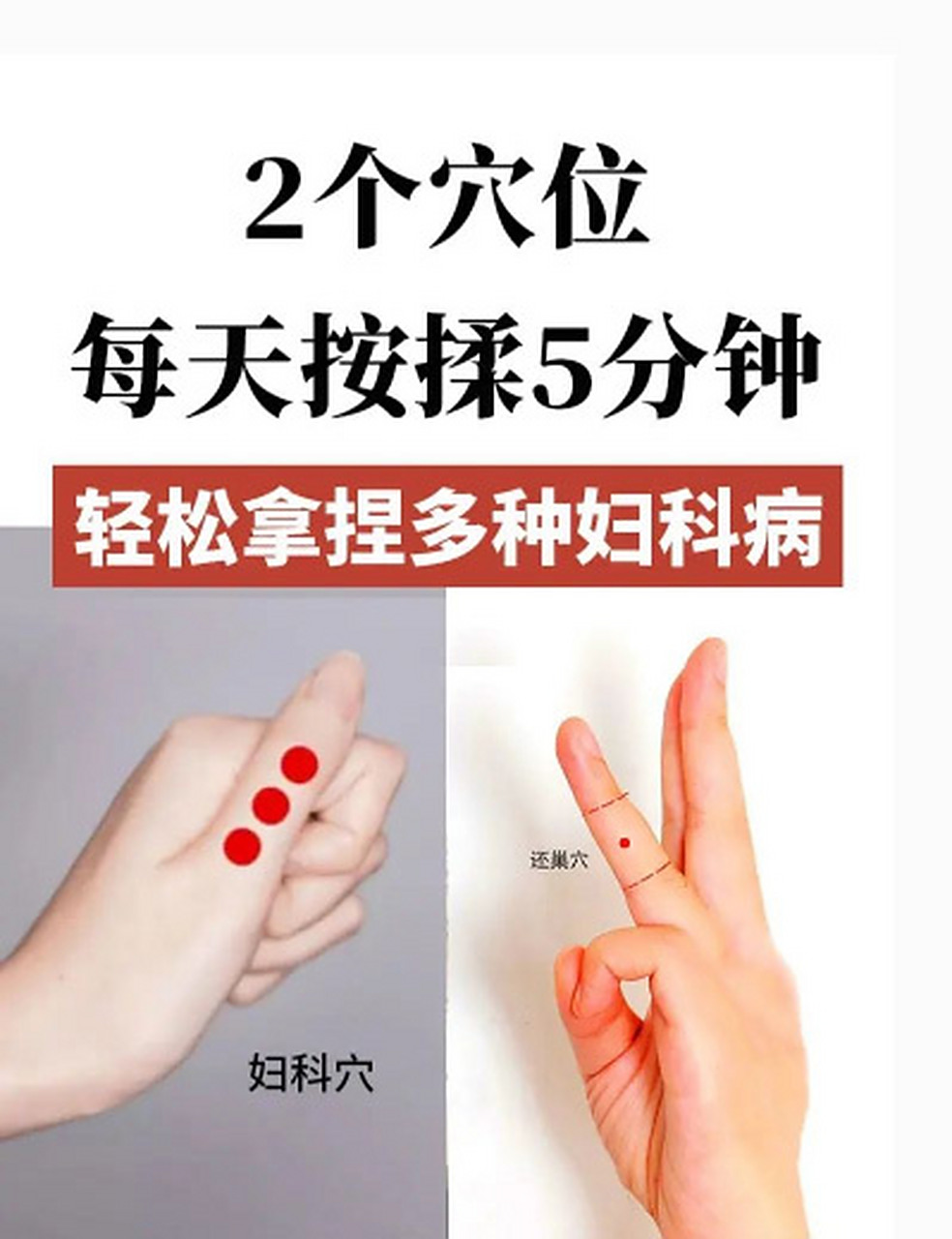 常用于治疗各种妇科病,比如子宫颈炎,子宫肌瘤,久备不孕,月经不调