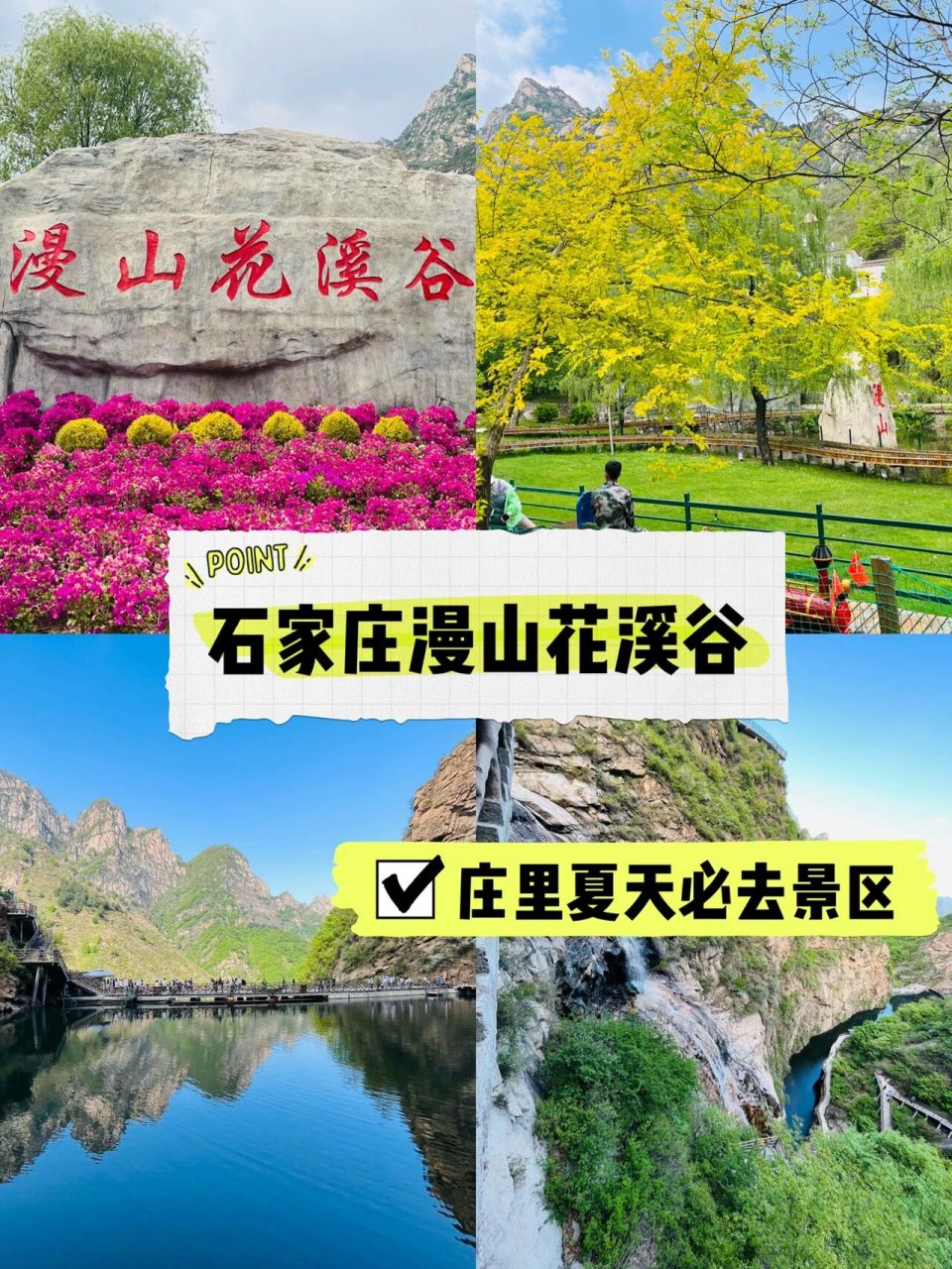 94石家庄必去景点6015太美了99  一直以为树桥公园和漫山花