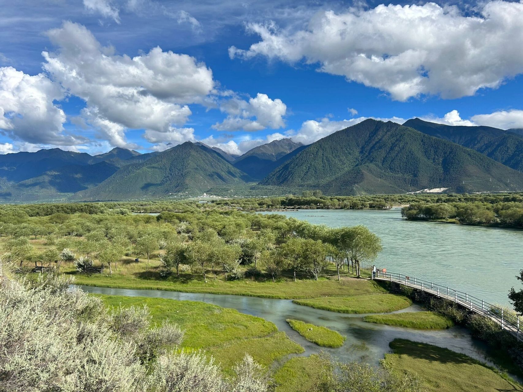 林芝市·#雅尼国家湿地公园[poi]# 真的太美了.