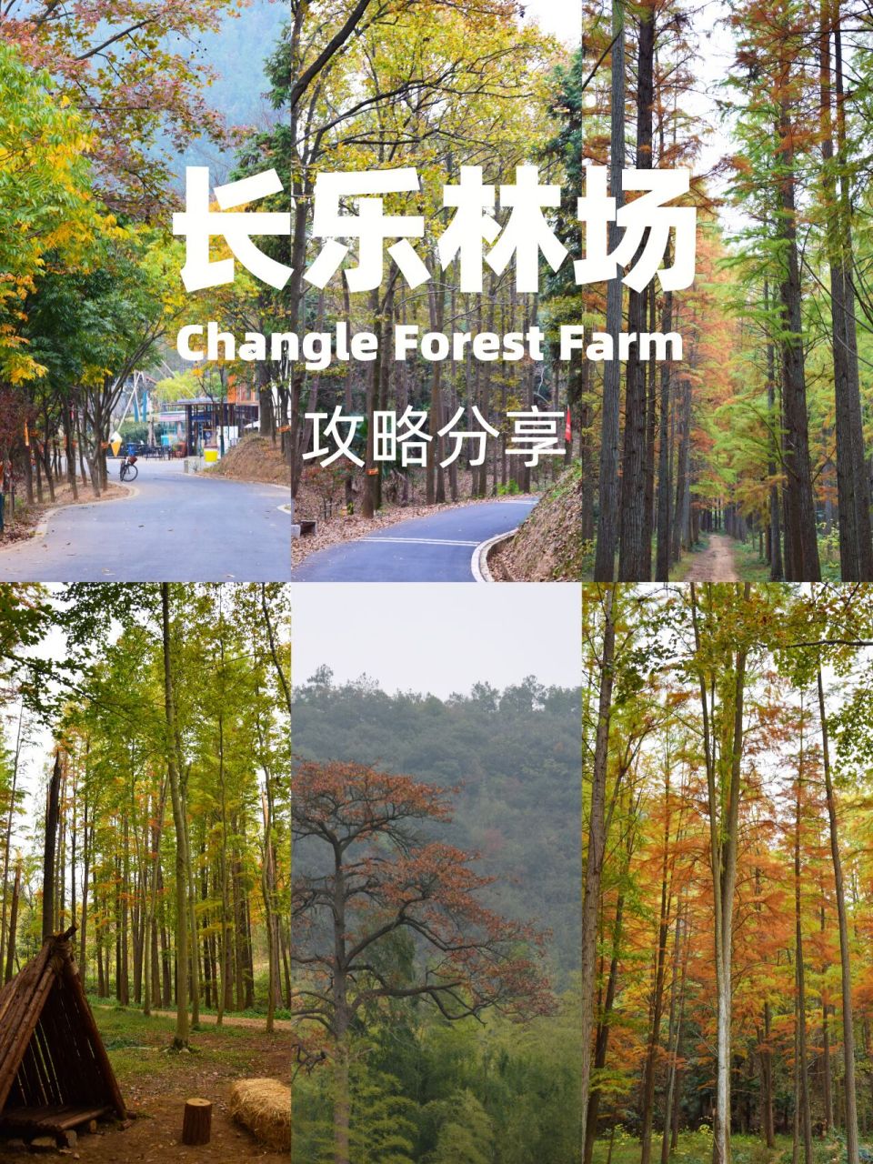 杭州长乐林场攻略附地图99989898 长乐林场赏秋出行攻略 99