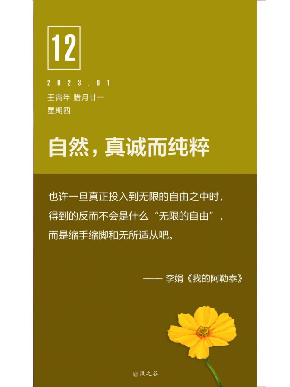 文摘##书摘##读书笔记打卡# #文案##文字控##文字即心情# #文字语录