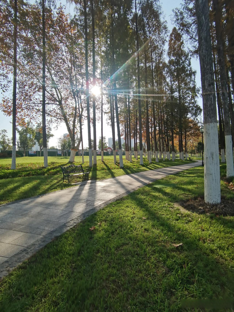 随手一拍的氛围感 此时此刻的合肥花冲公园