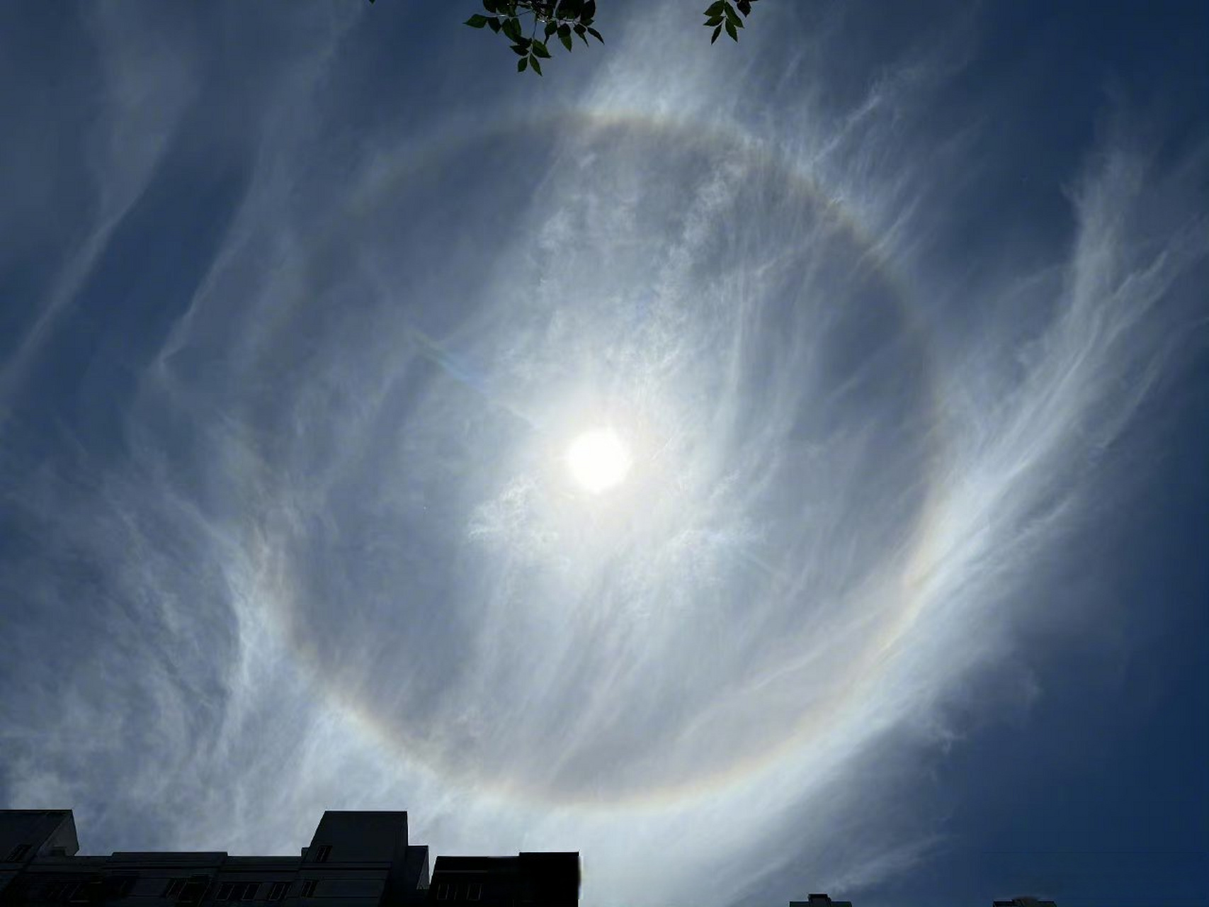 北京高考期间出现日晕#七色光七色彩太阳的光彩,愿所有看到这张日晕