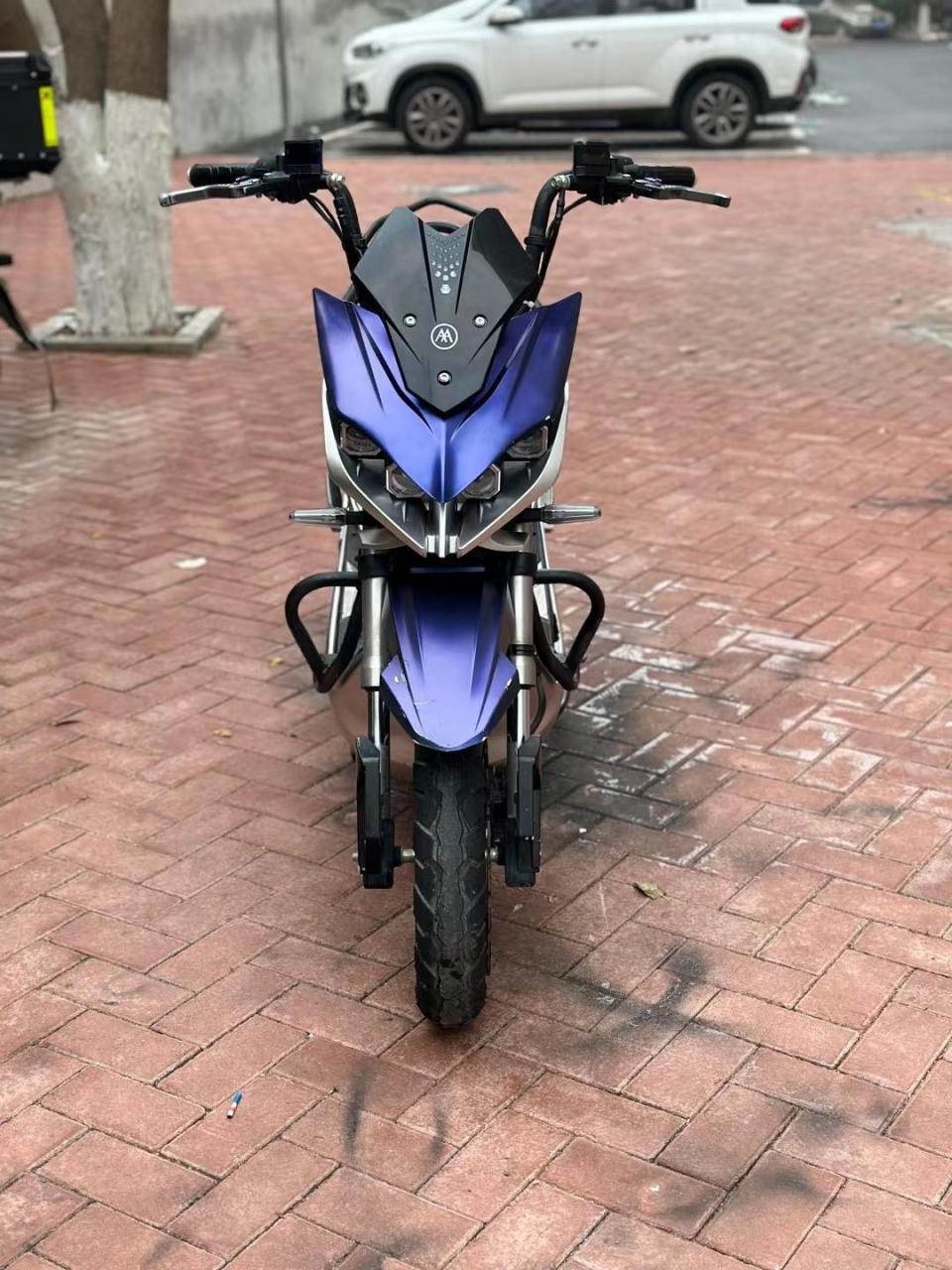 精品爱玛极客301.