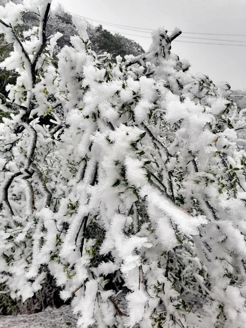 全州天湖雪景图片图片