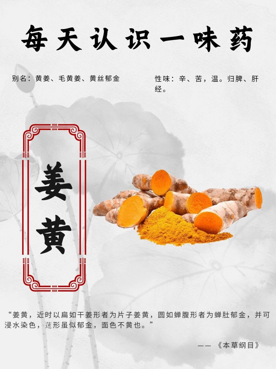 为姜科植物姜黄的干燥根茎.