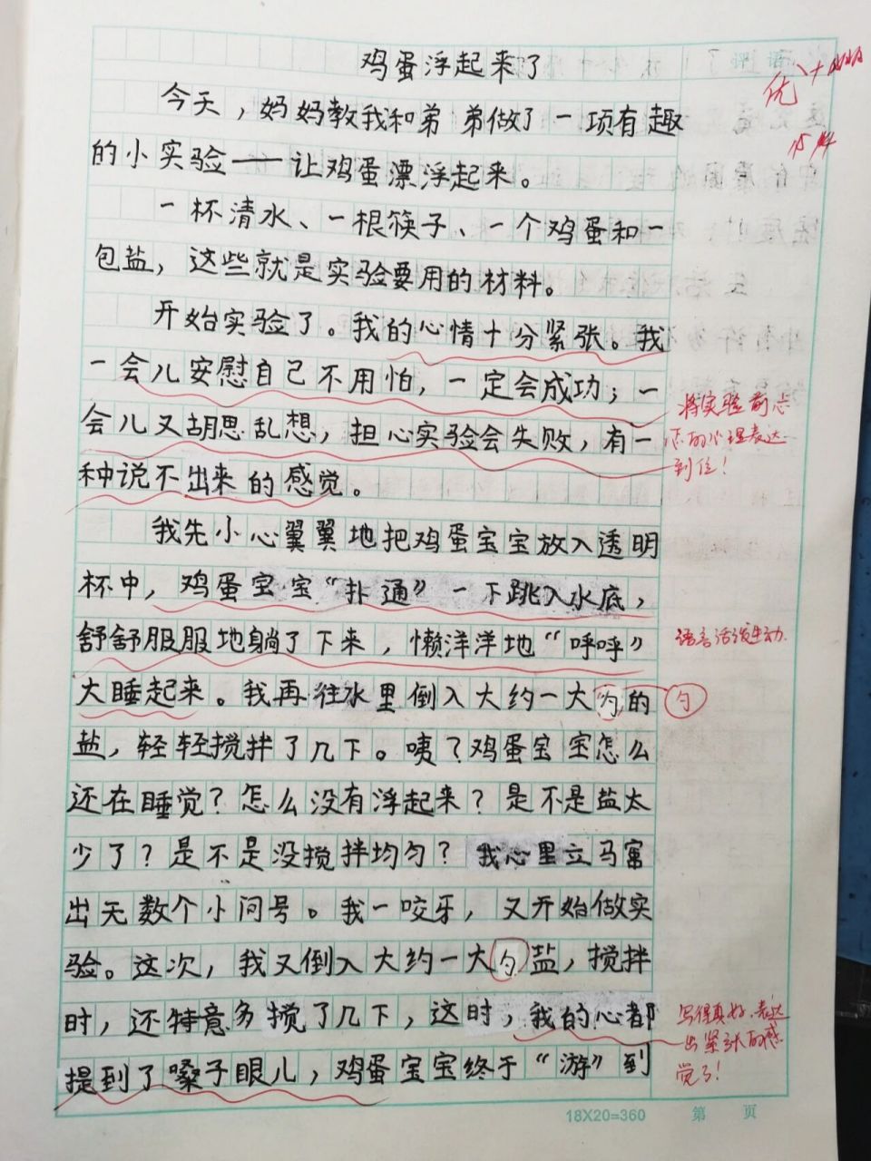 鸡蛋沉浮实验作文图片