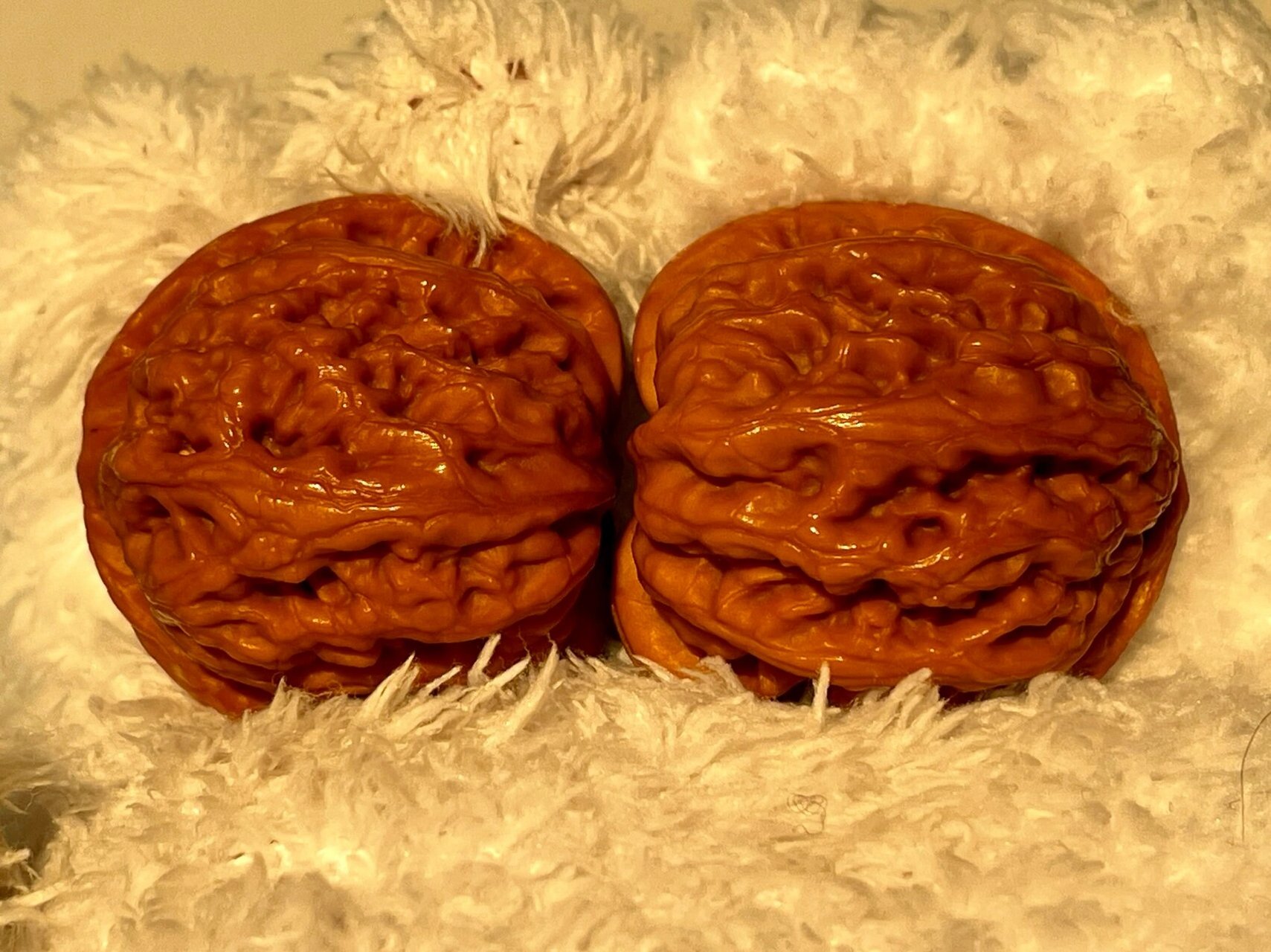 文玩核桃——野生九龙