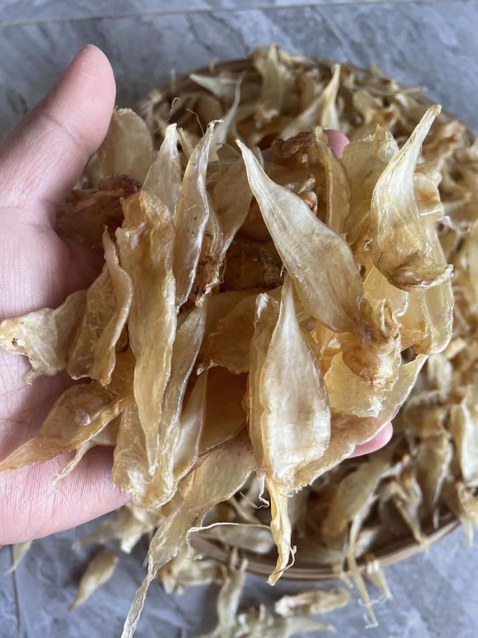 豆仁胶,适合小孩长身体的鱼胶 550头野生豆仁胶!足干清水的漂亮货.胶