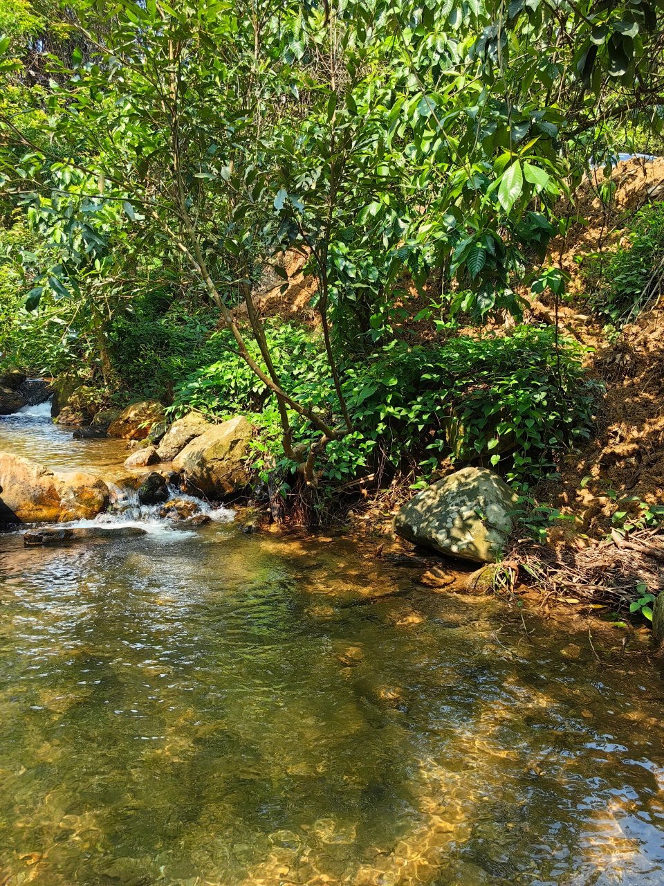 黄金沟生态旅游景区图片