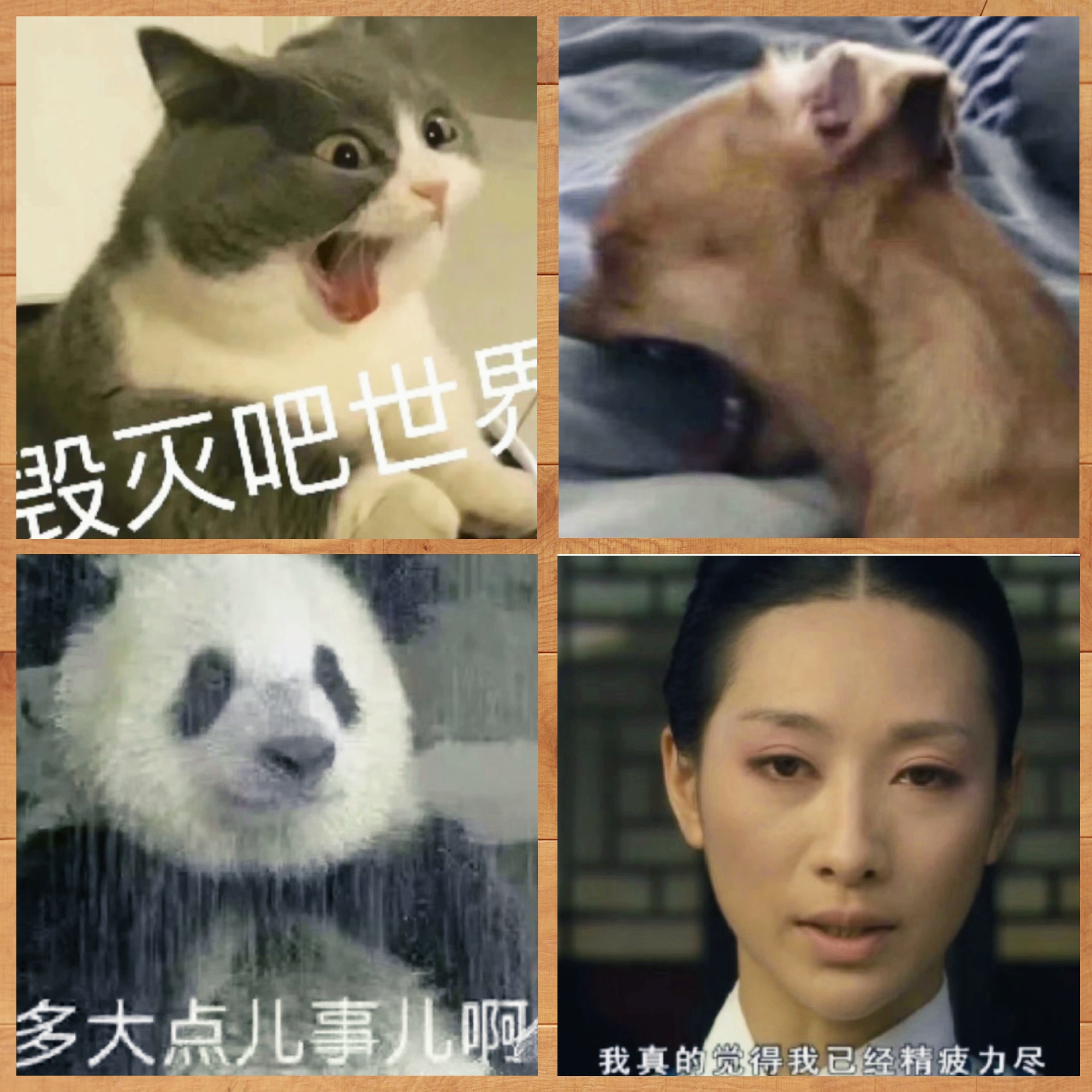 疯狂表情集