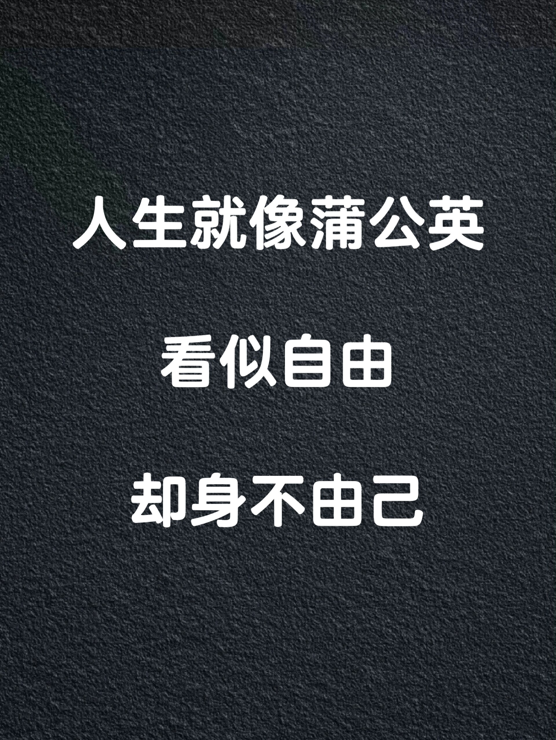人生就像蒲公英,看似自由却身不由己
