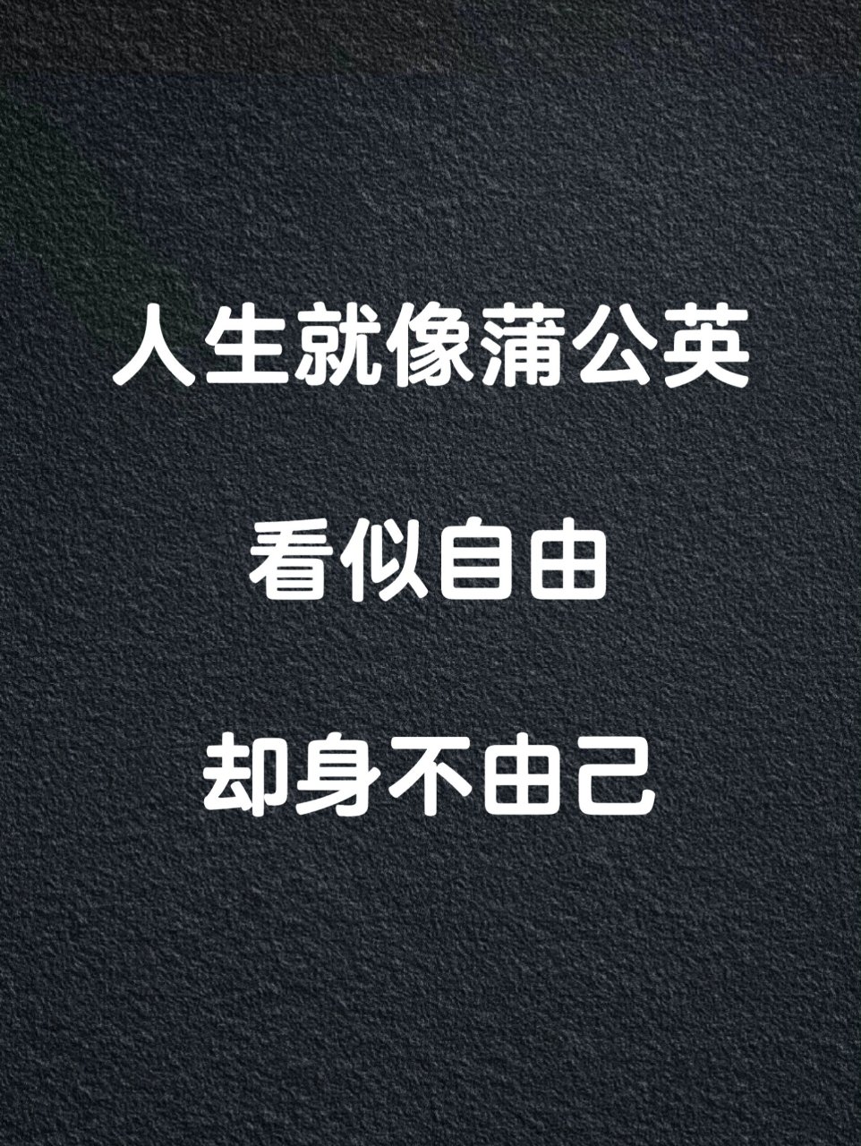 人生就像蒲公英,看似自由却身不由己 有人羡慕蒲公英,因为它来去自由