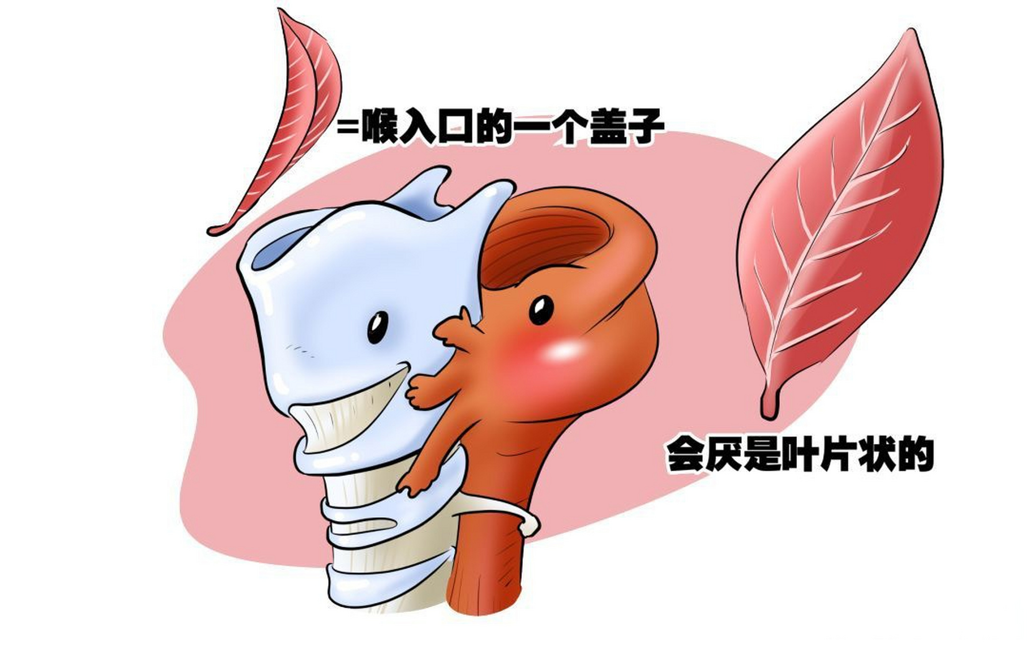 姑娘嗓子疼从就诊到去世仅10分钟# 喉头水肿为喉部黏膜下有组织液