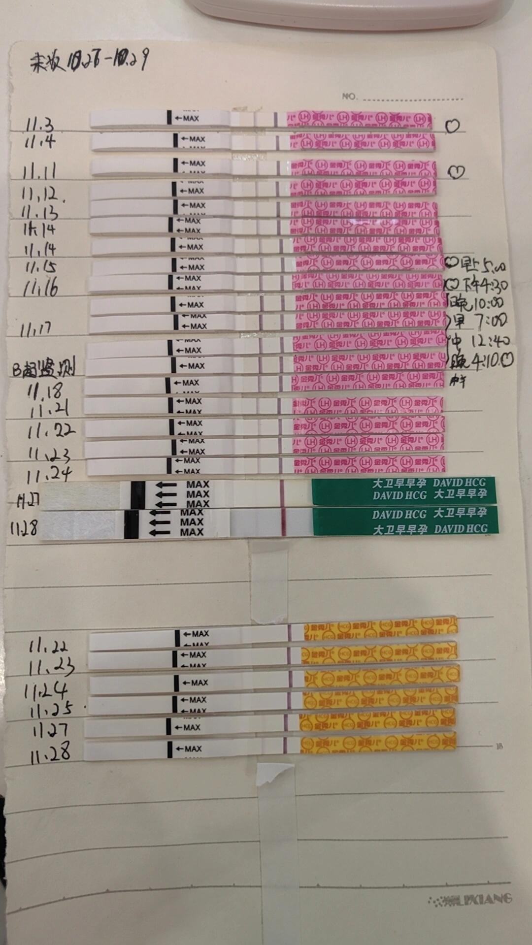 怀孕后排卵试纸变化图图片