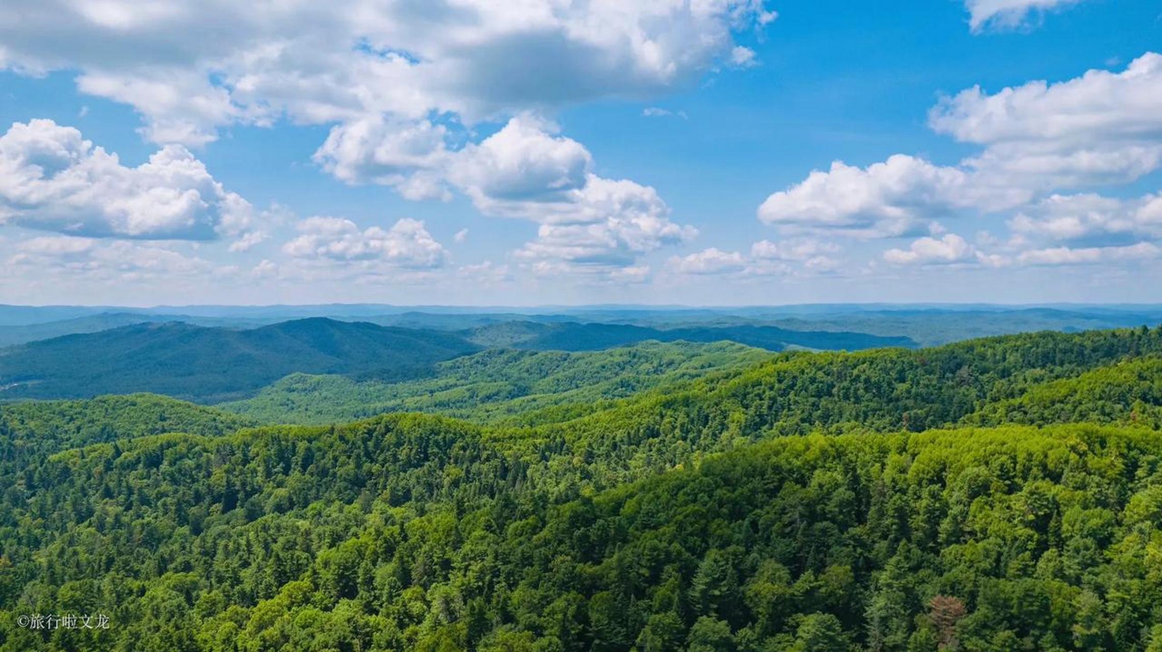林都伊春,这是一个不用空调的城市,伊春的行程今天从五营国家森林公园