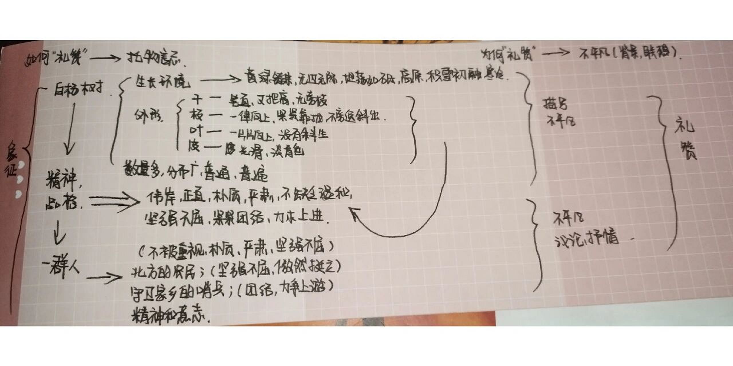 《白杨礼赞》思维导图 网课大半月了,要遭不住了 (都忘记自己有个