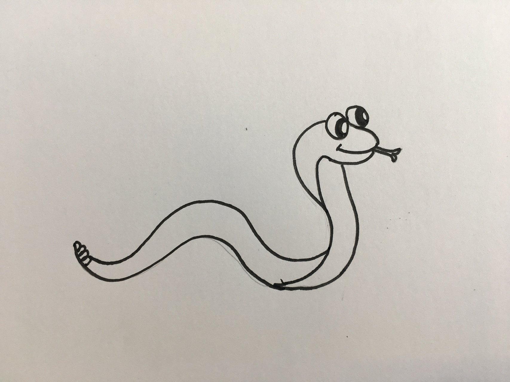 马克笔|蛇🐍简笔画 好久没发小红了