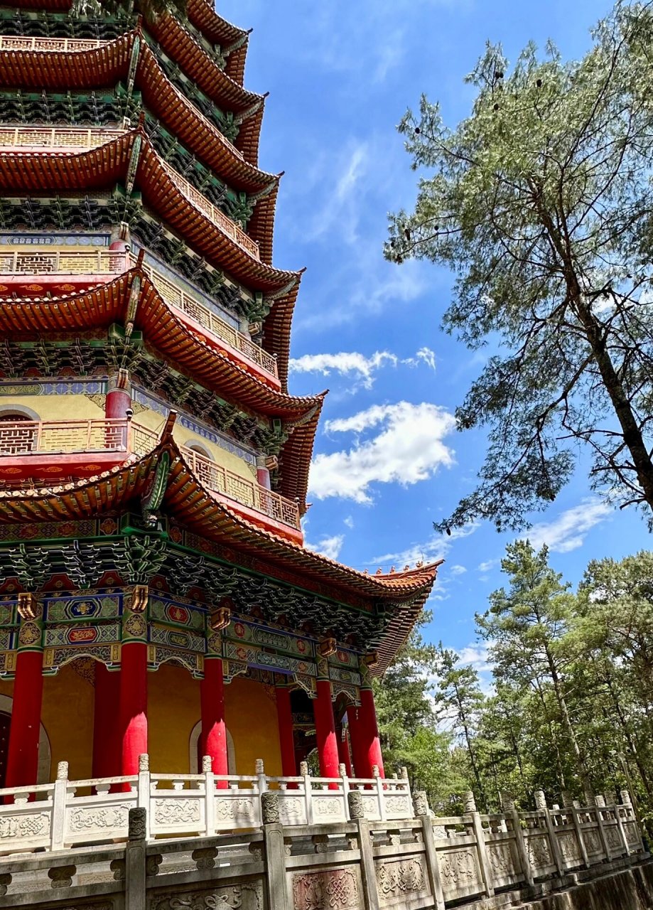 西南第一山·武定·狮子山 #周末去哪儿# #和大自然亲密接触# #狮子山