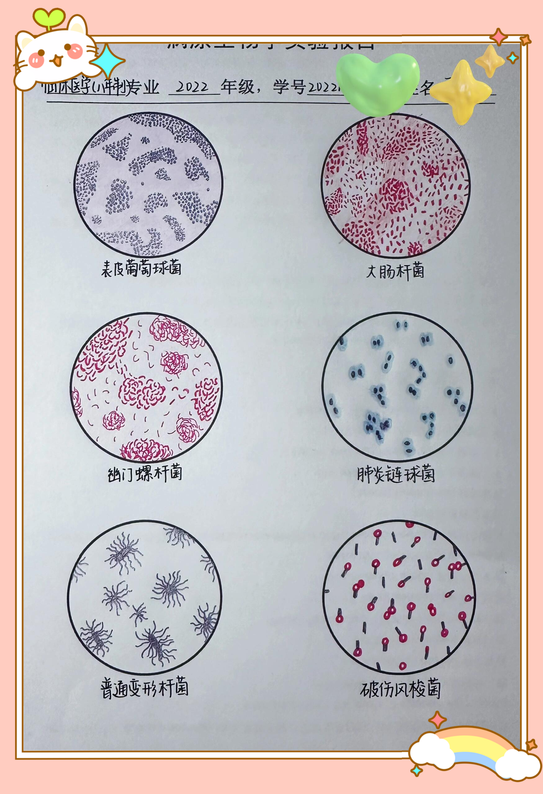 病菌手绘图片