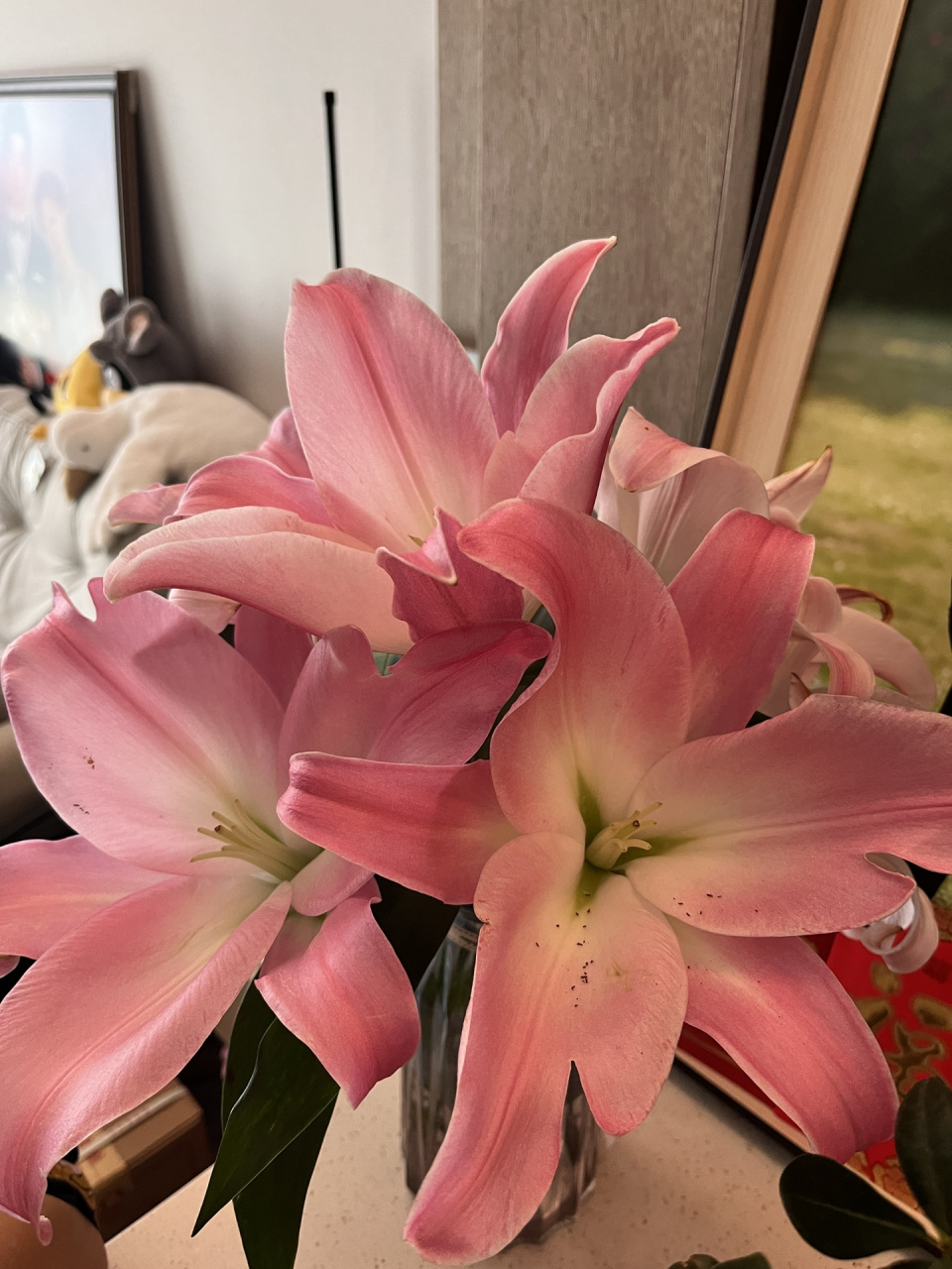 但是不得不说百合花的花蕊真的是超强染色剂啊啊啊….