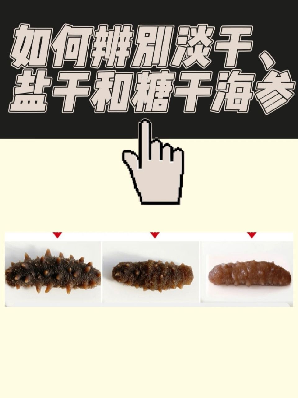 简单三步教你辨别淡干,盐干,糖干海参❗️ hi,滢姐上线了!新手宝