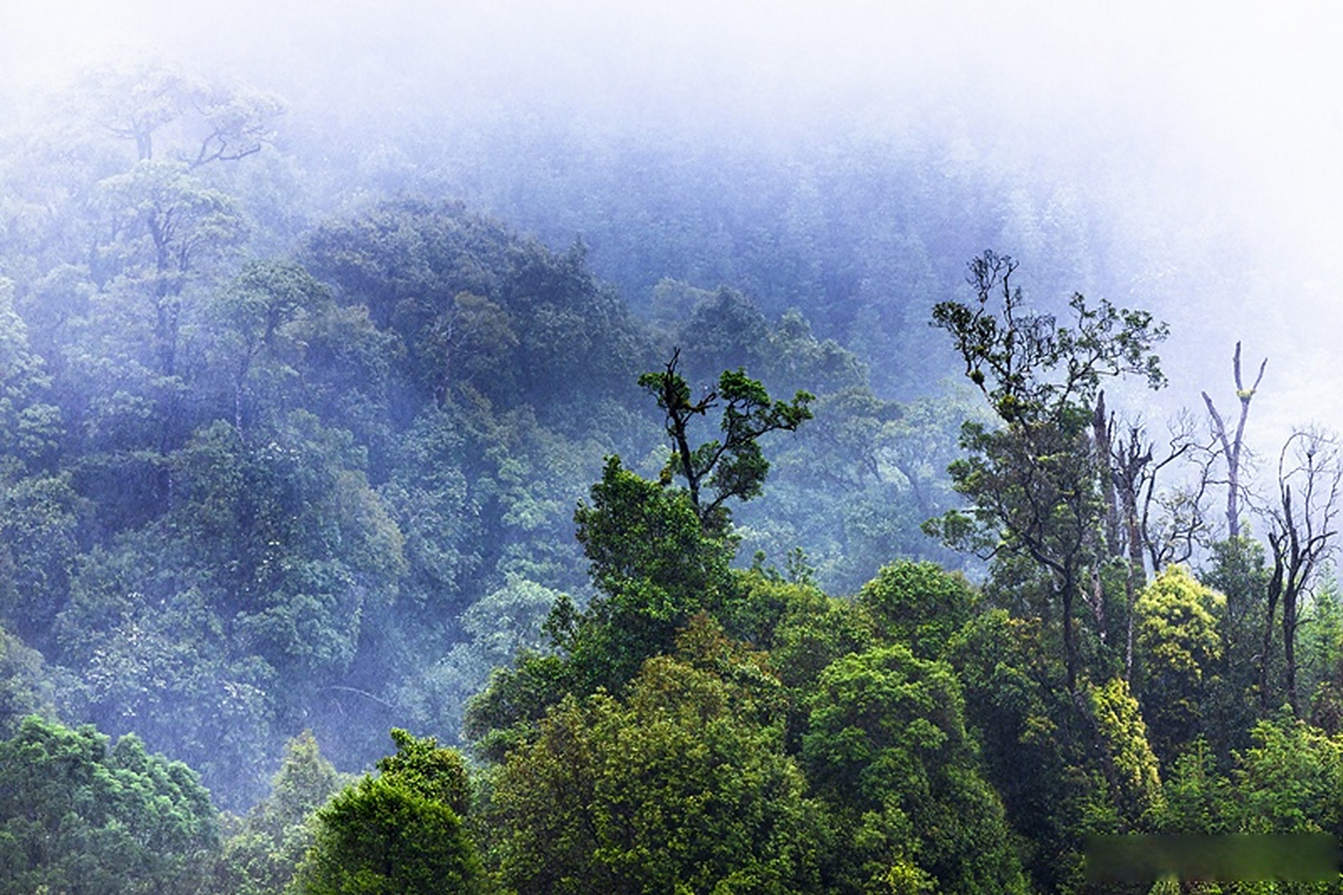 【云南腾冲:车迹罕至处,荣光不再,风景独好】夏季的云南保山腾冲市