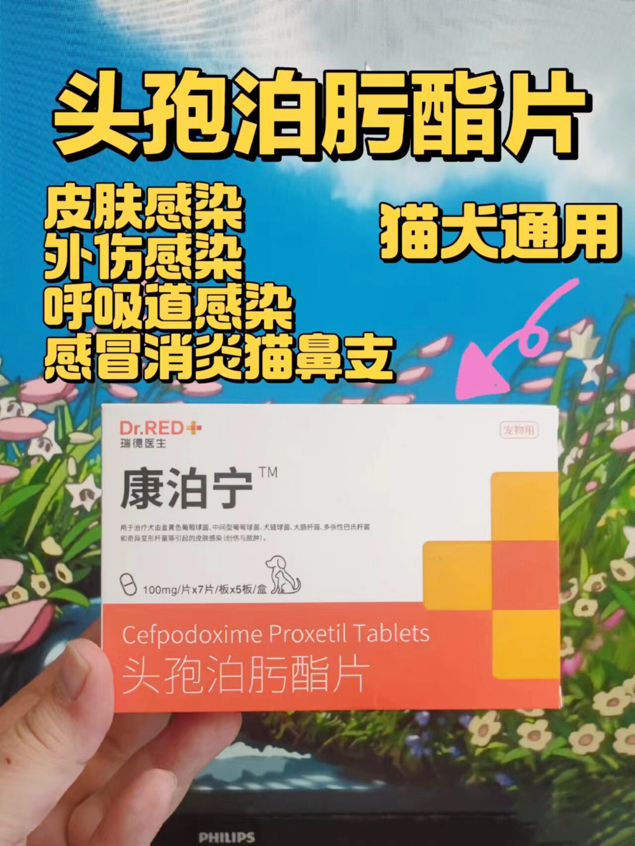 康泊宁头孢泊肟酯片 宠物猫犬通用 广谱消炎  用于治疗葡萄球菌