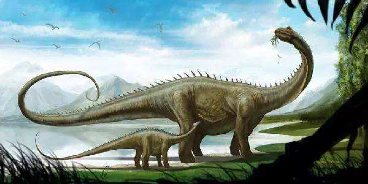 恐龙图鉴 物种:卡内基梁龙体型:26m 15吨发现地:北美食性:植食年代